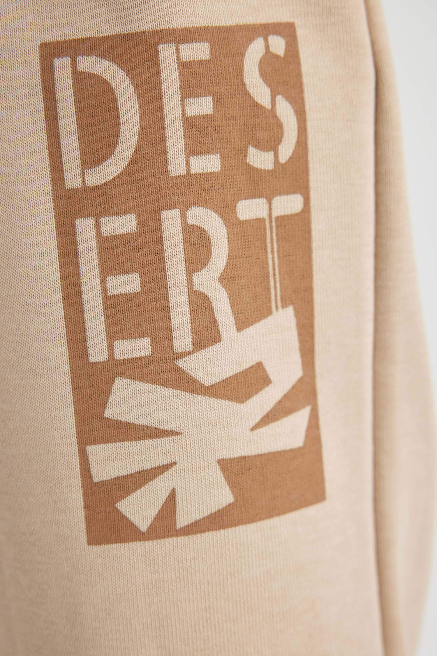 Boy Crew Neck Printed Sweatshirt