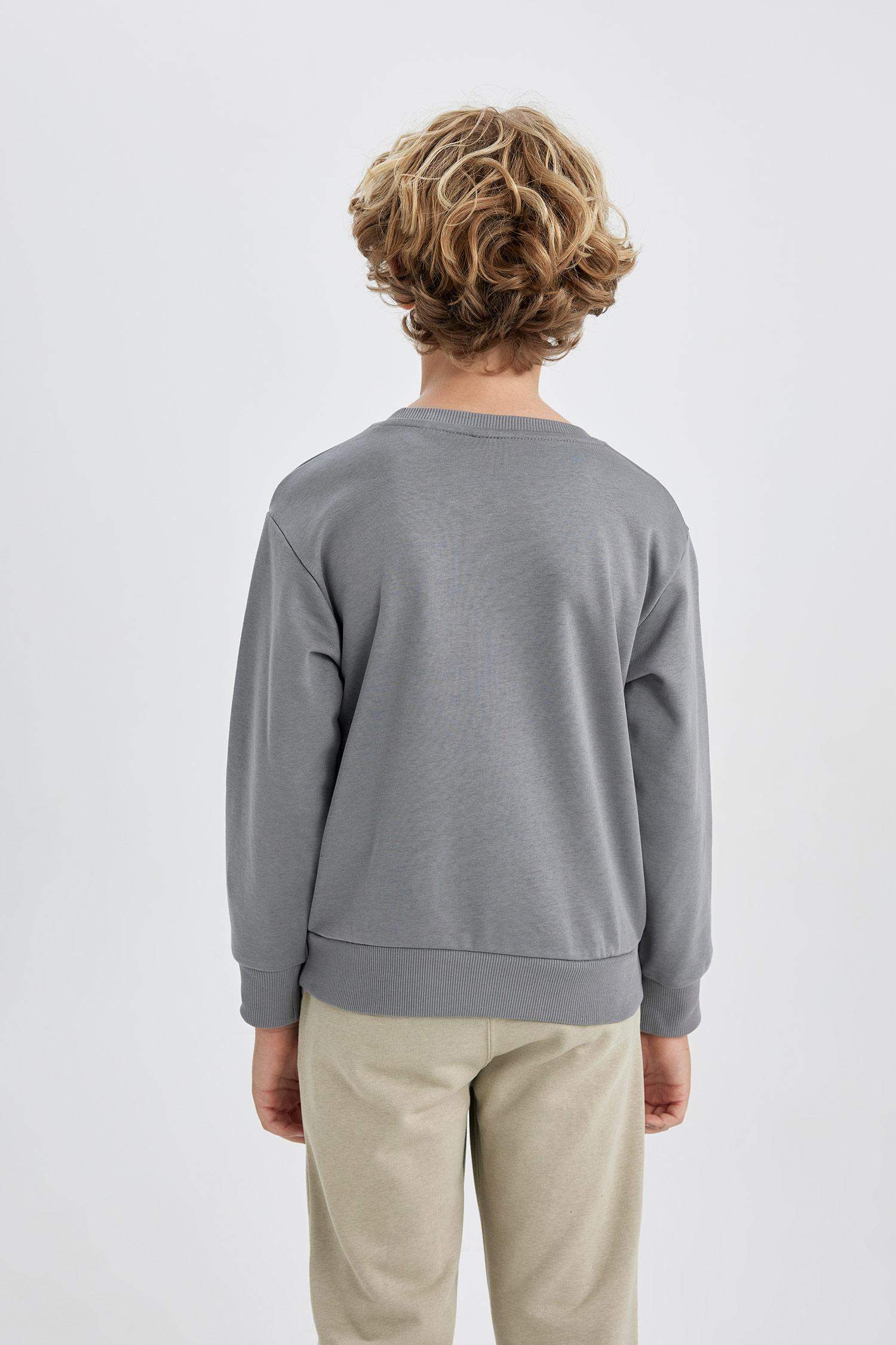 Boy Crew Neck Printed Sweatshirt