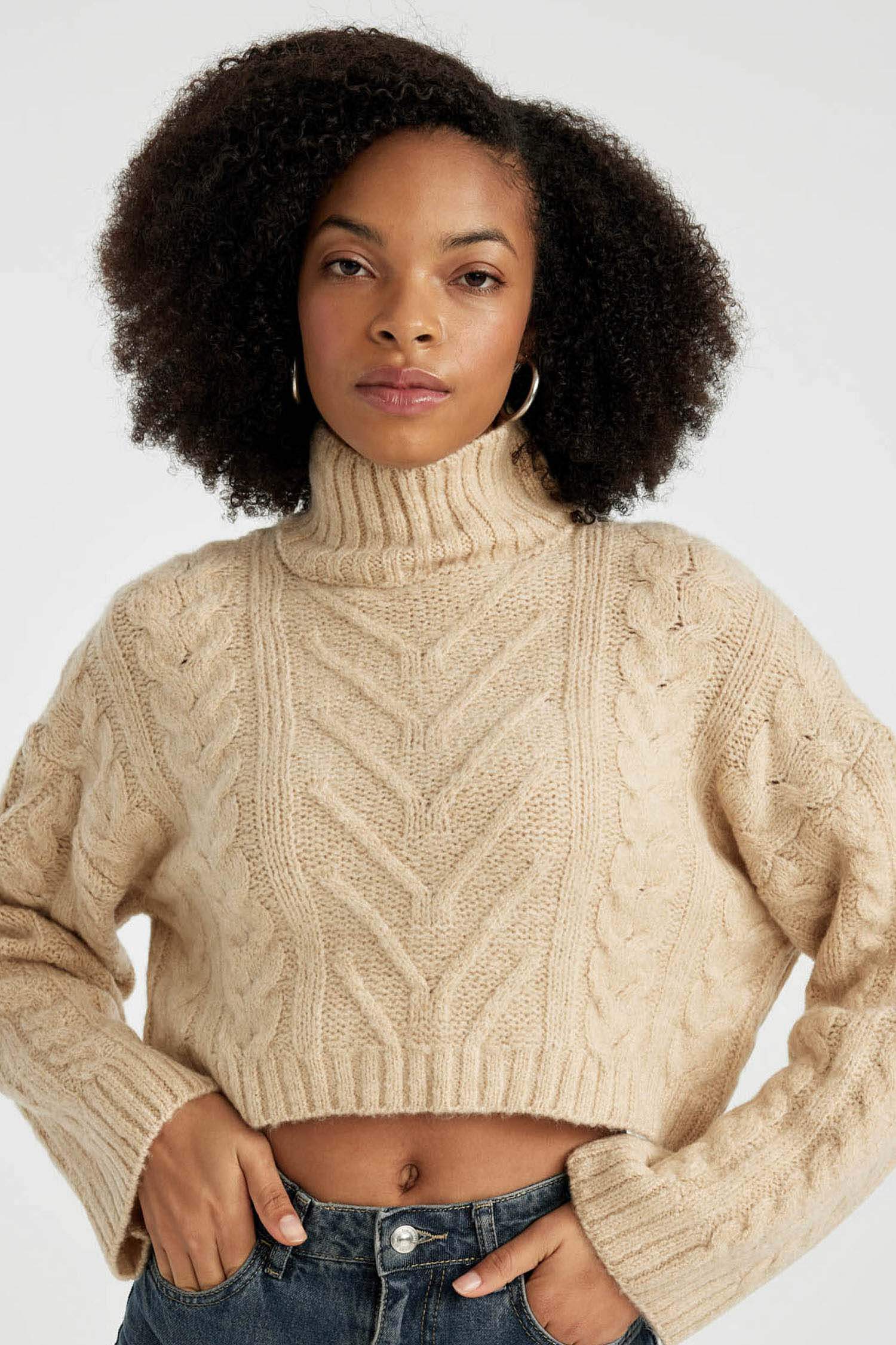 Regular Fit Half Turtleneck Pullover