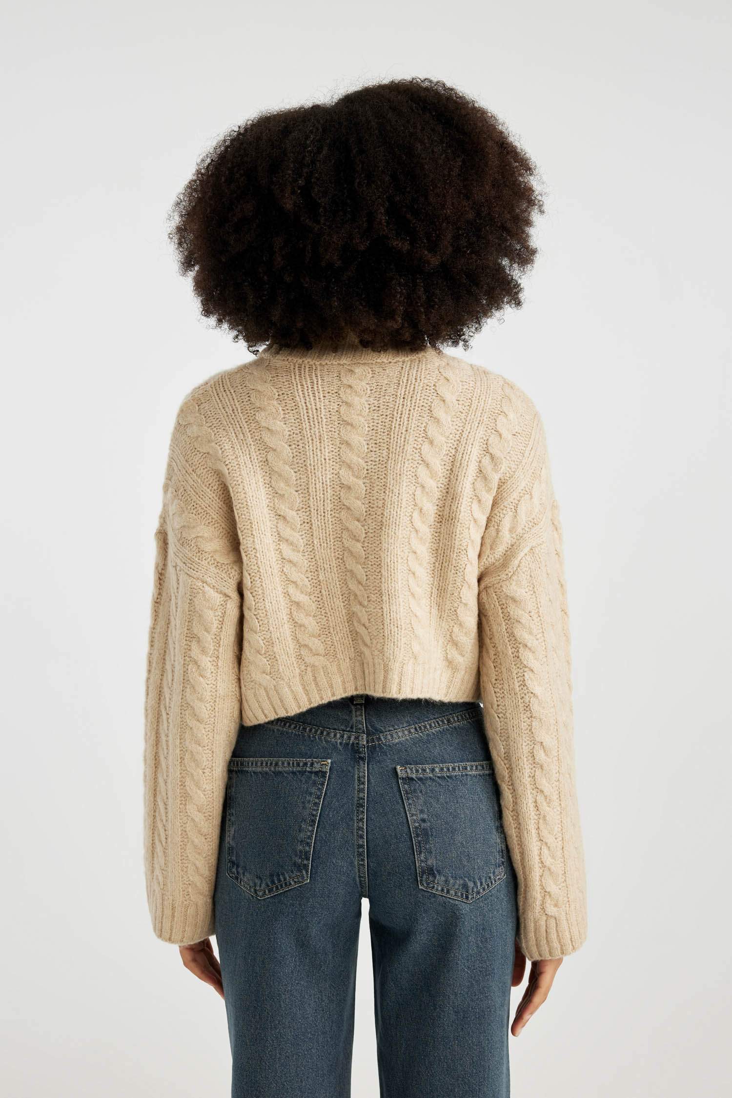 Regular Fit Half Turtleneck Pullover