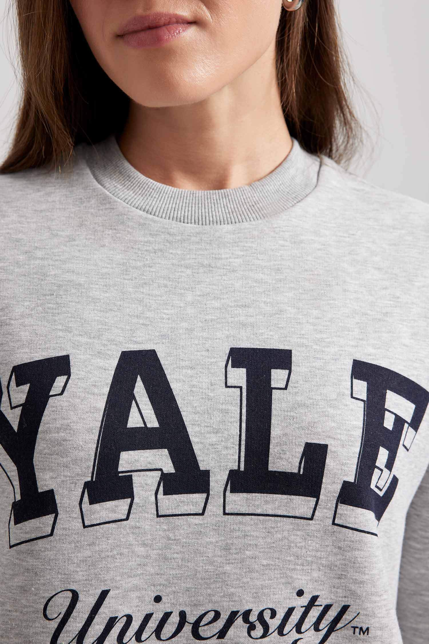 Regular Fit Bisiklet Yaka Baskılı İçi Yumuşak Tüylü Sweatshirt Tunik