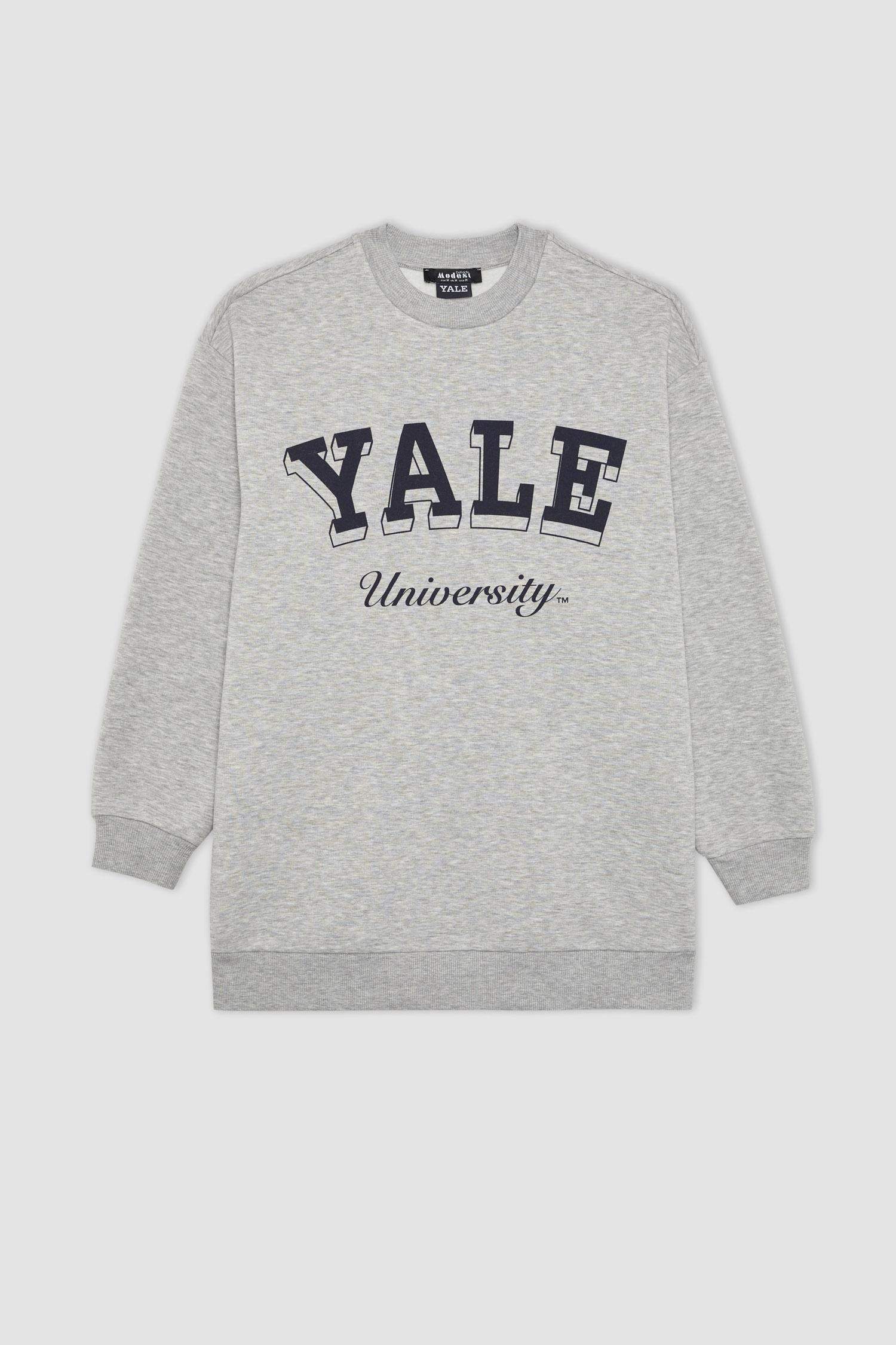 Regular Fit Bisiklet Yaka Baskılı İçi Yumuşak Tüylü Sweatshirt Tunik