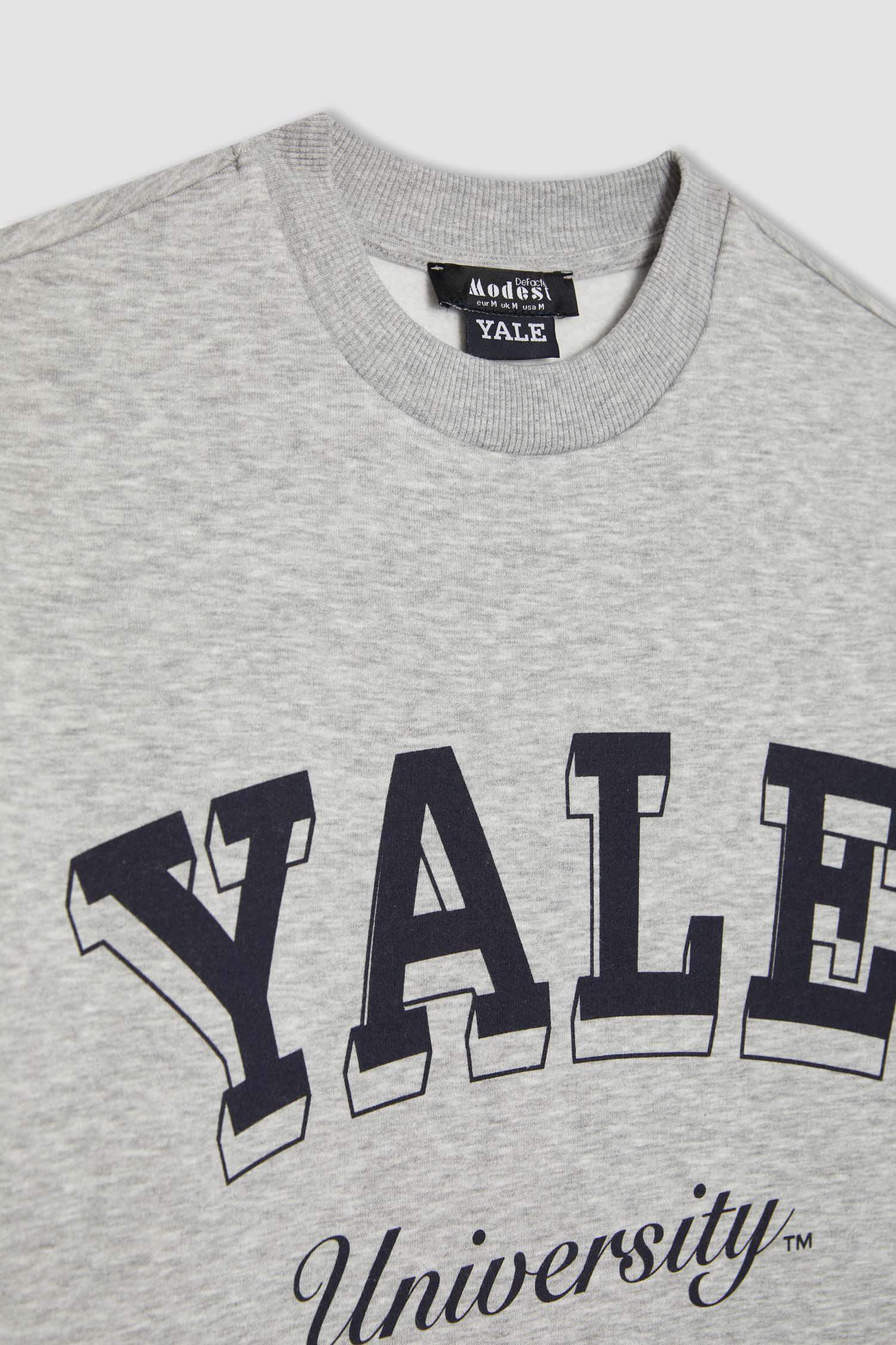 Regular Fit Bisiklet Yaka Baskılı İçi Yumuşak Tüylü Sweatshirt Tunik