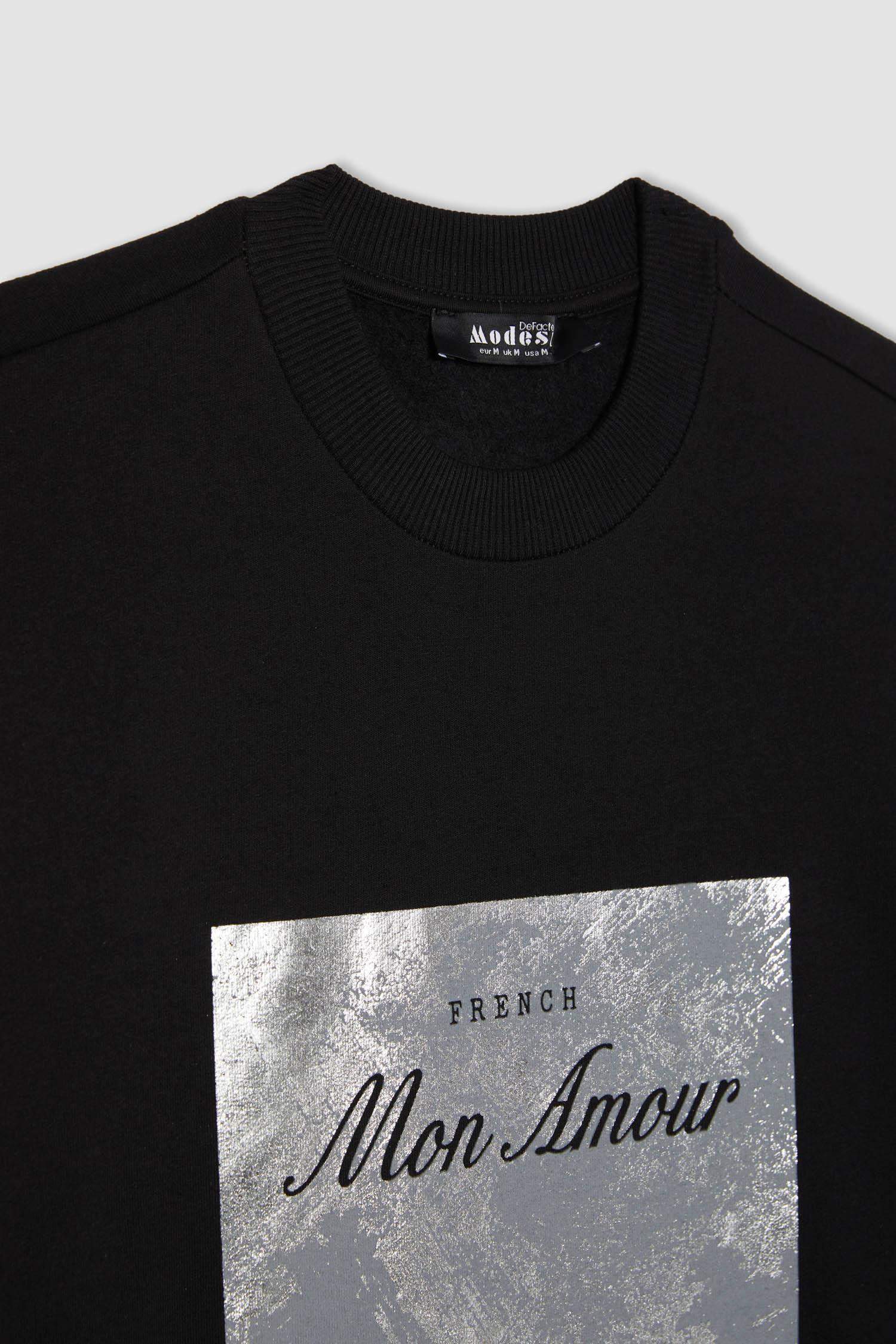 Regular Fit Crew Neck Embroidered Soft Furry Thin Sweatshirt