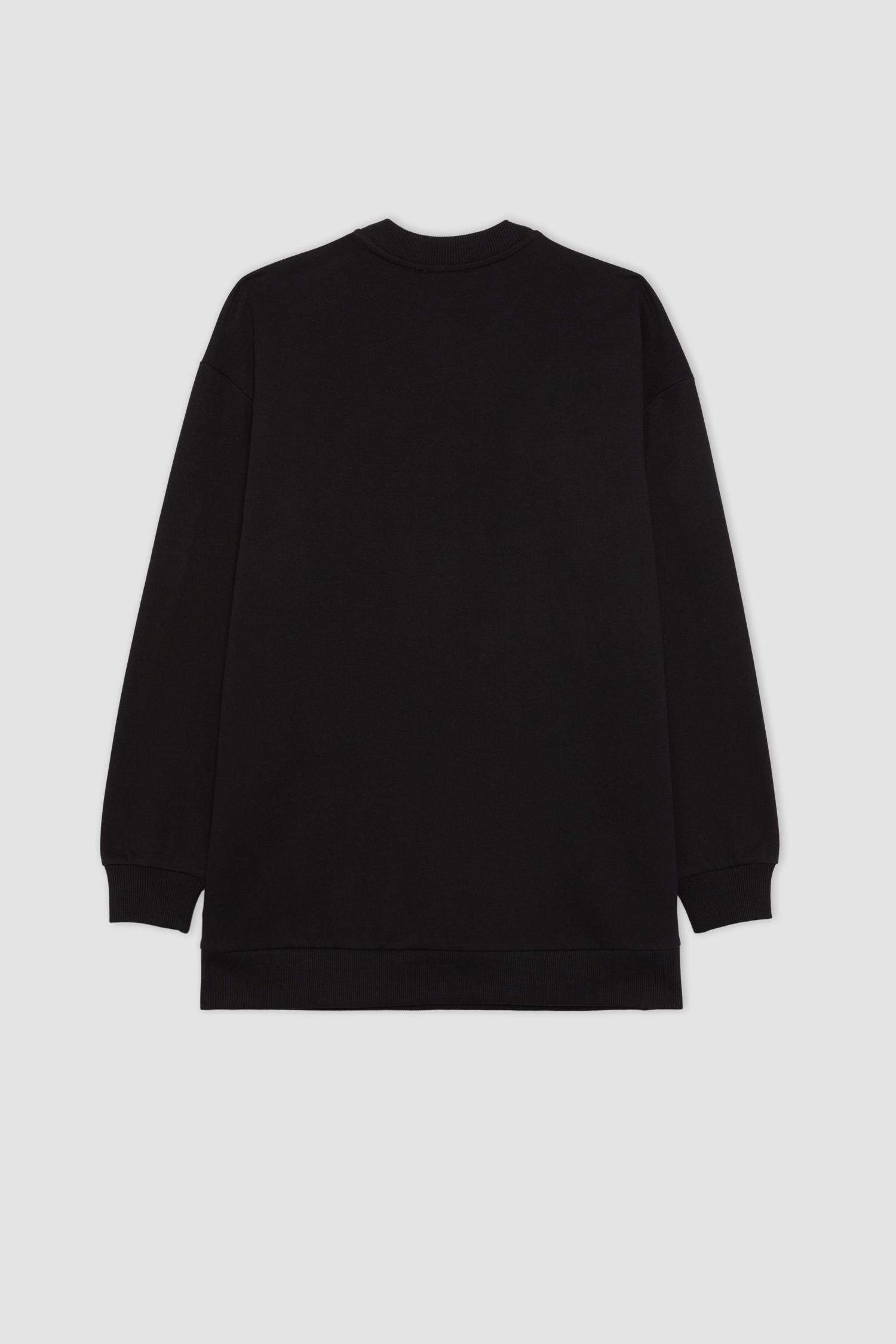 Regular Fit Crew Neck Embroidered Soft Furry Thin Sweatshirt