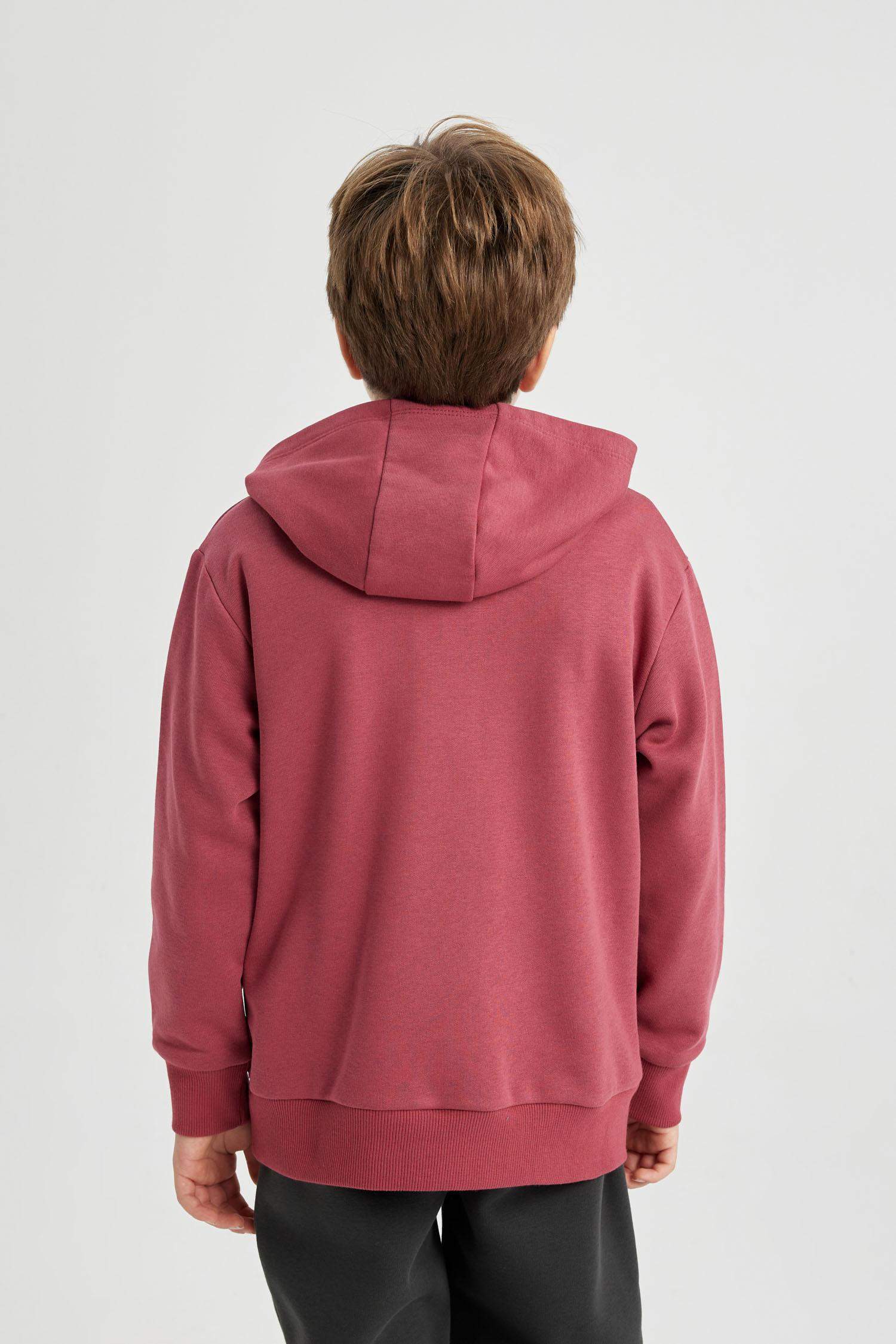 سويت شيرت ولادي قصة عادية بغطاء للرأس بجيب