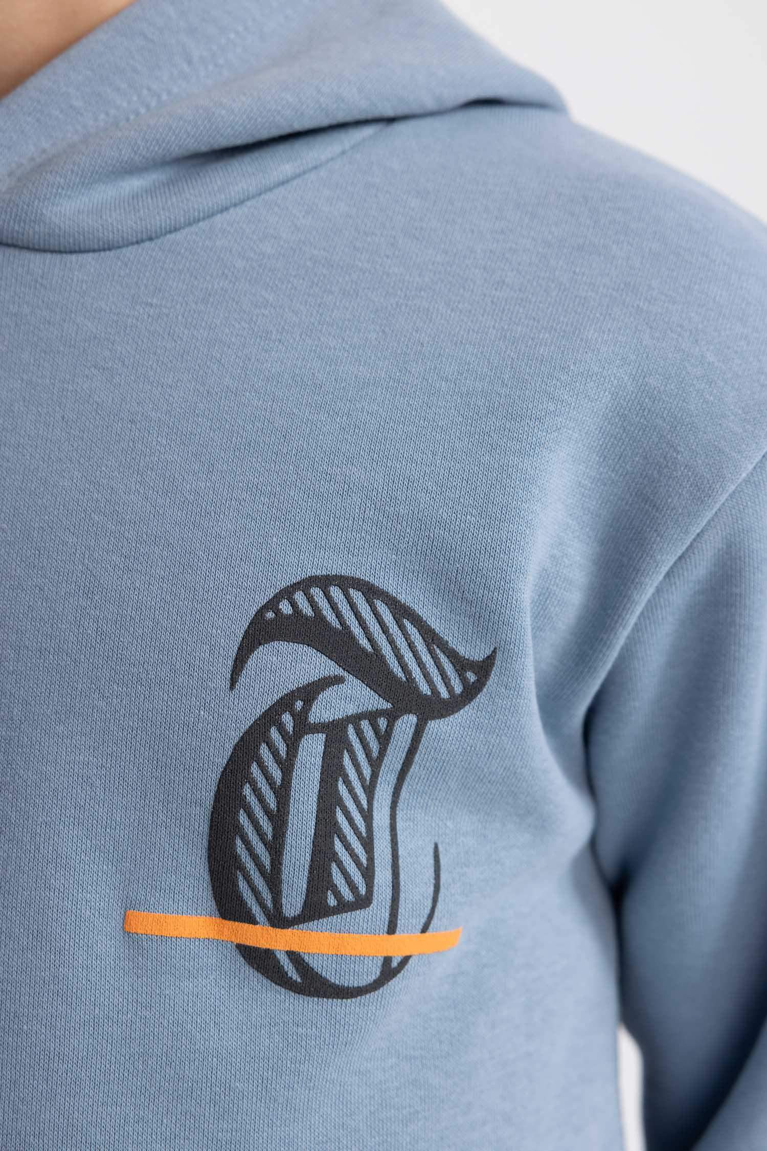 Boy Printed Hooded Thick Sweatshirt