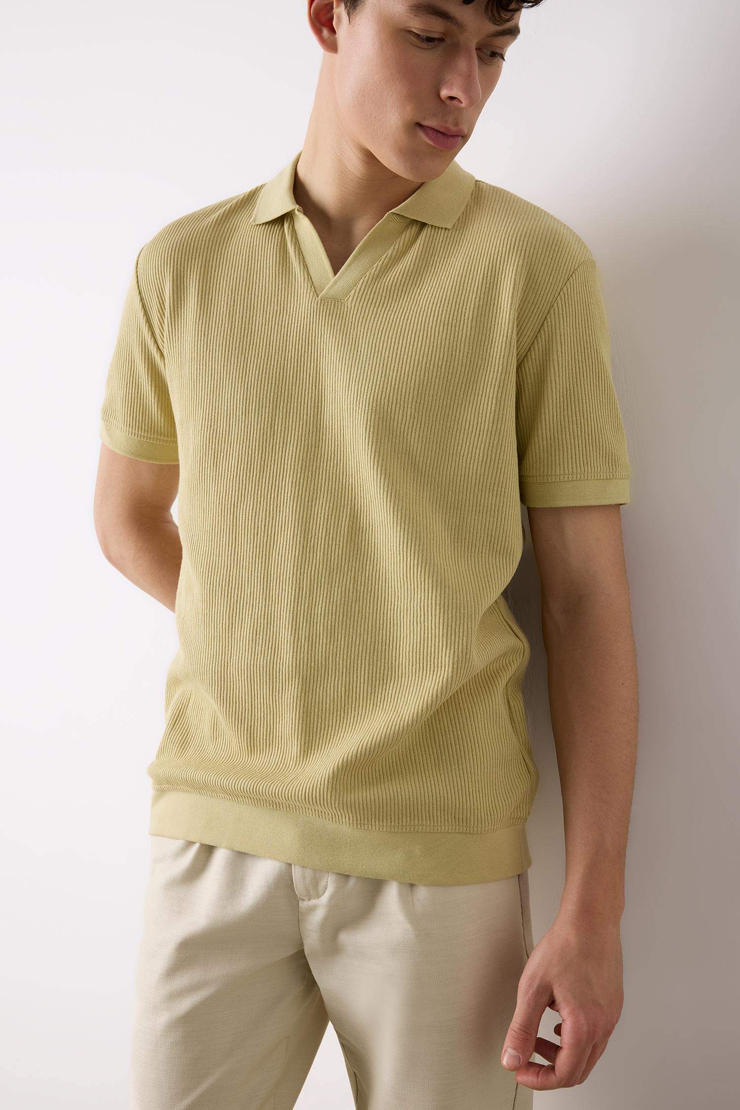 Regular Fit Polo Yaka Kısa Kollu Pilise Tişört