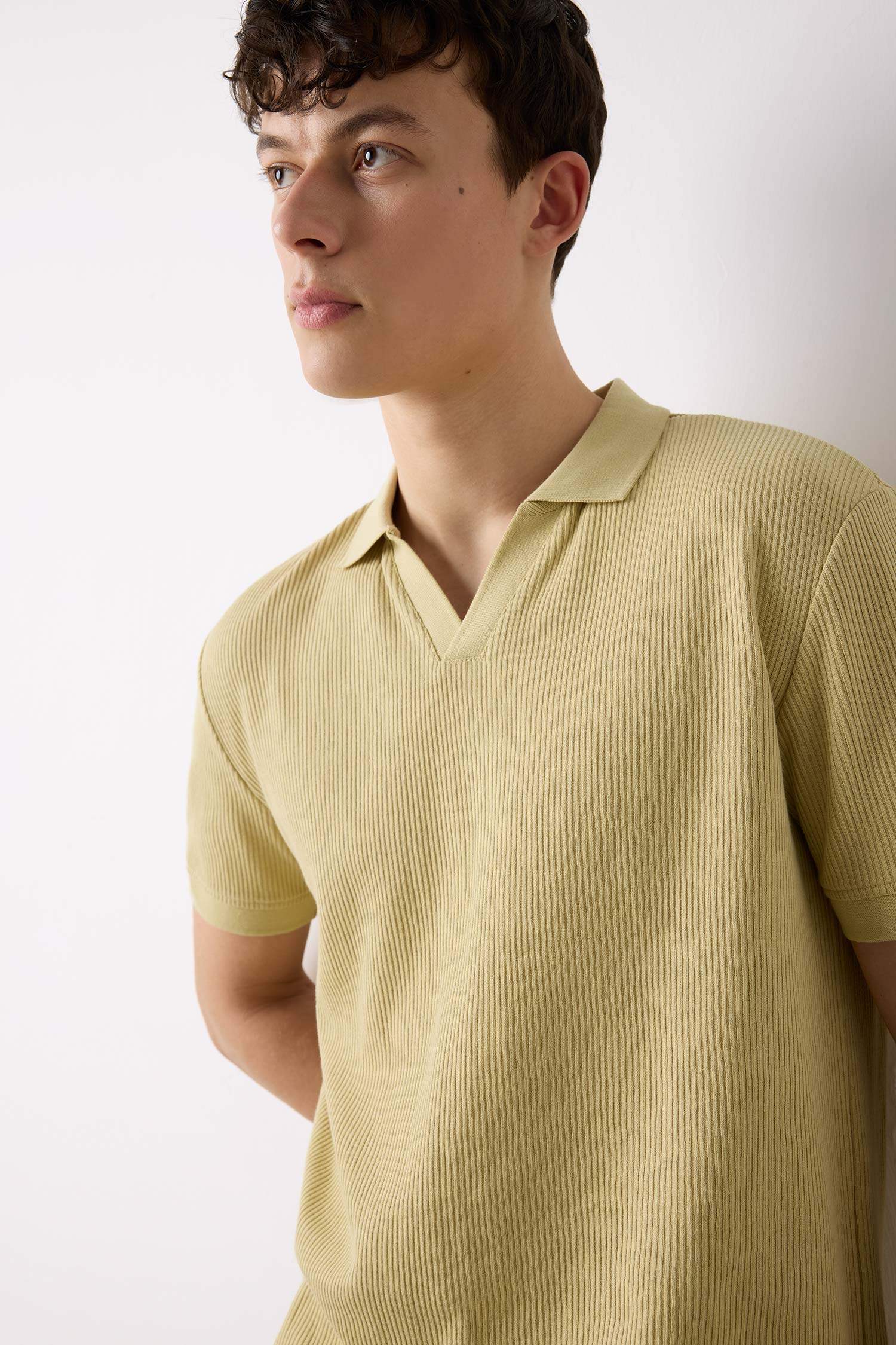 Regular Fit Polo Yaka Kısa Kollu Pilise Tişört