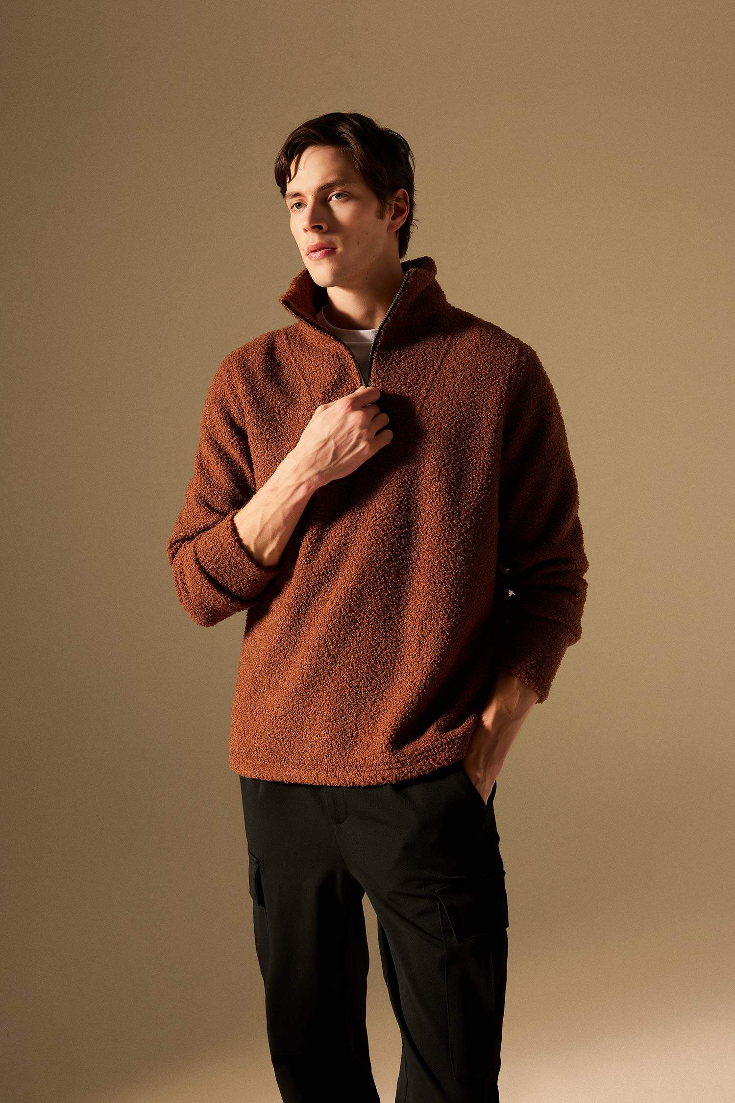 Regular Fit Dik Yaka Fermuarlı Pelüş Sweatshirt