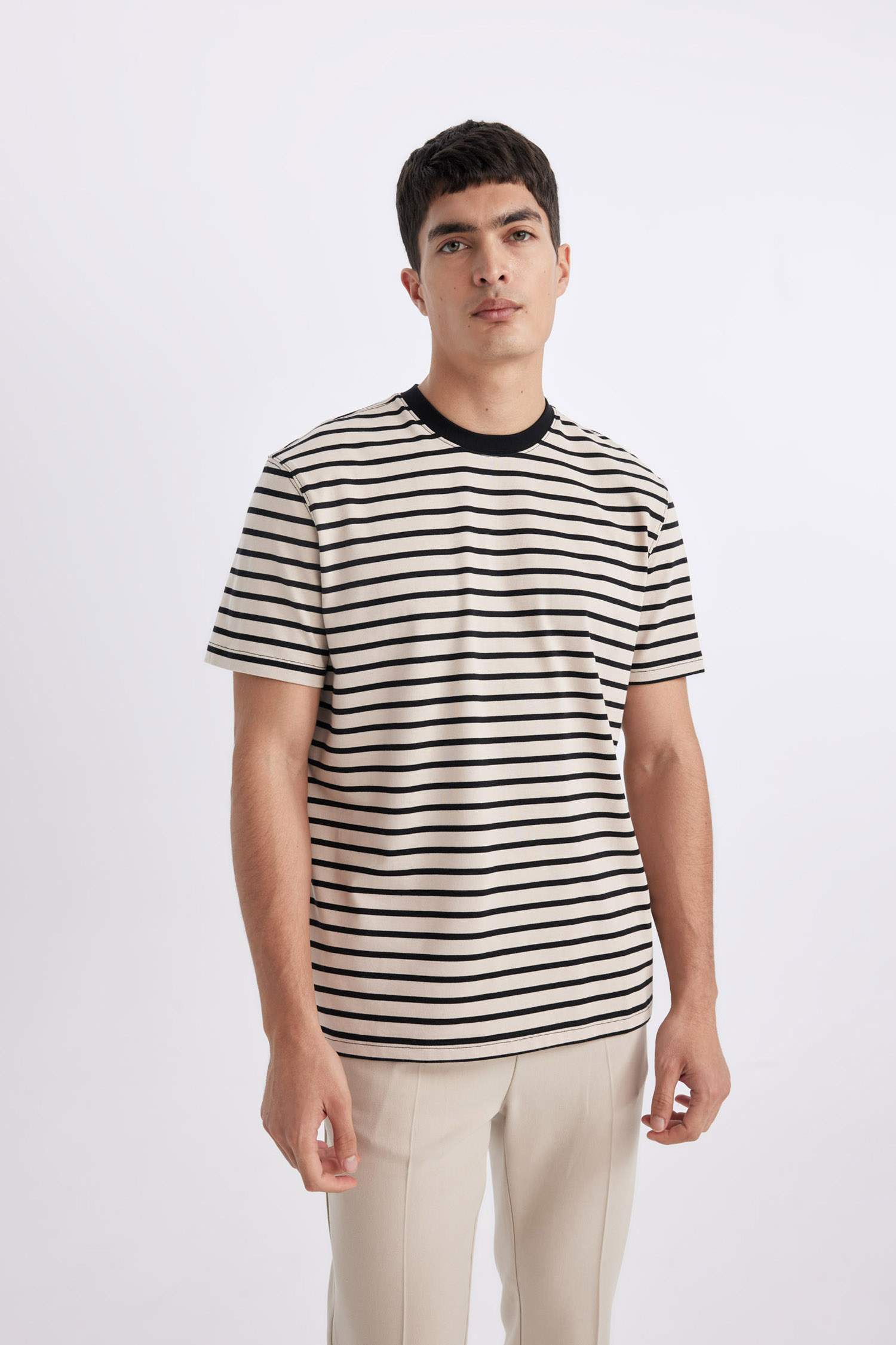 Regular Fit Crew Neck Striped T-Shirt