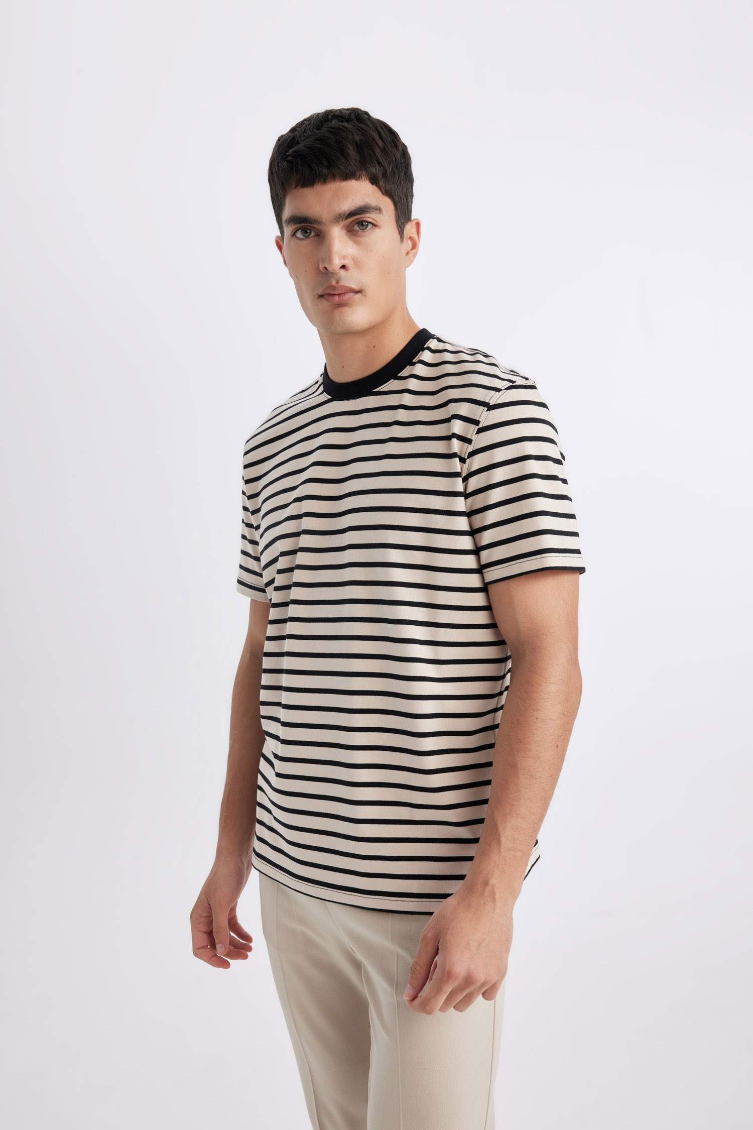 Regular Fit Crew Neck Striped T-Shirt