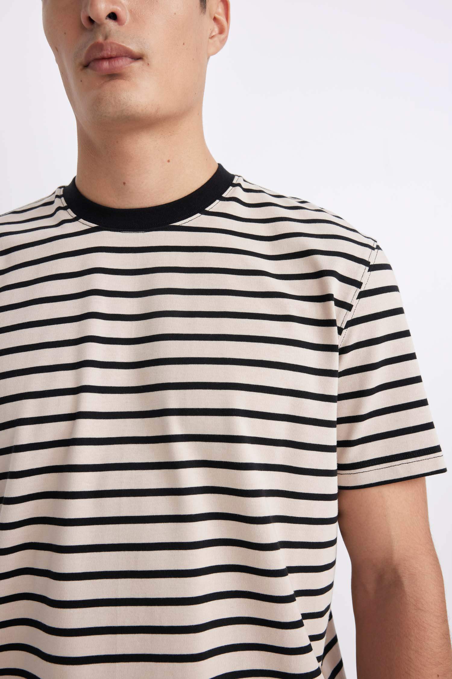 Regular Fit Crew Neck Striped T-Shirt