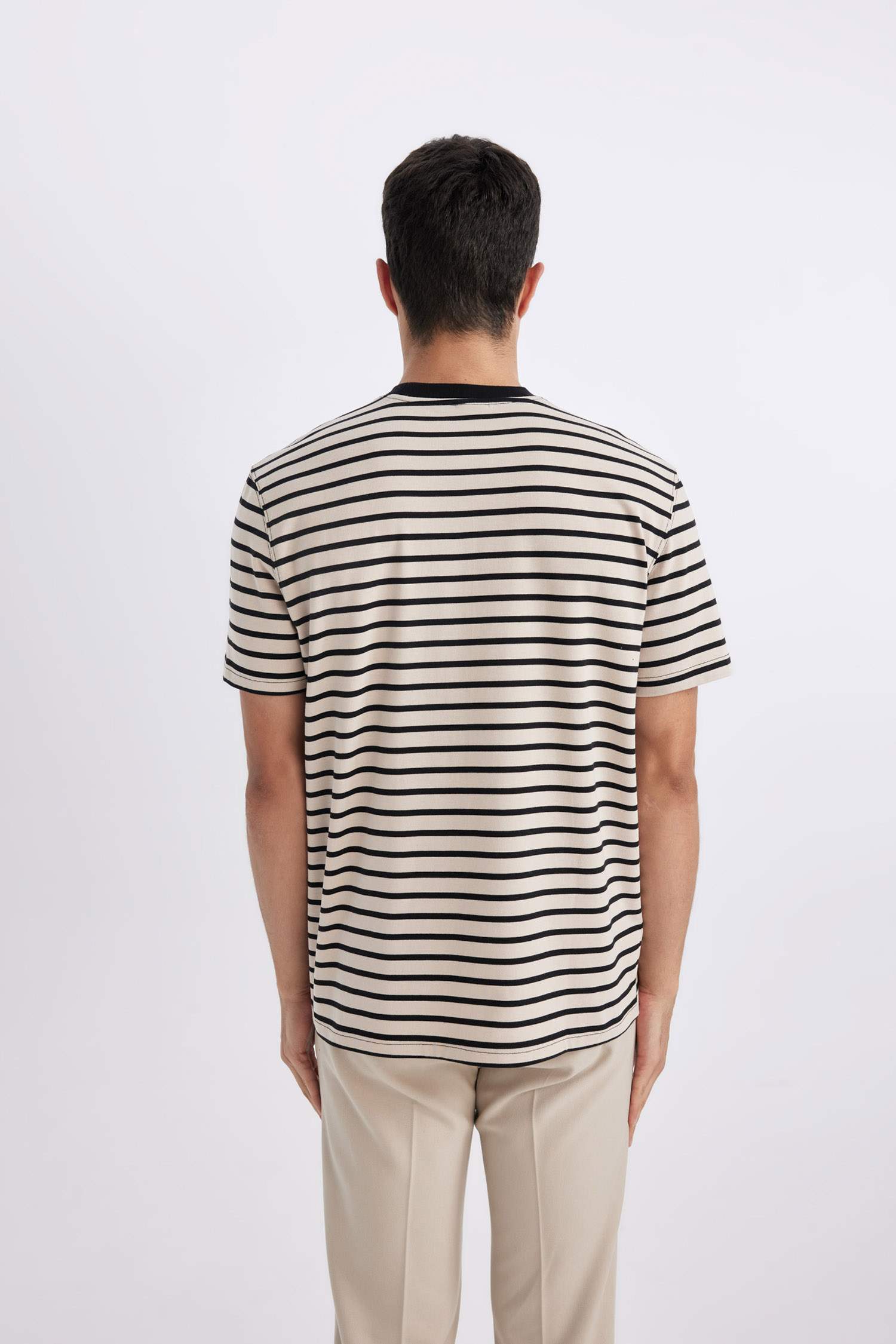 Regular Fit Crew Neck Striped T-Shirt