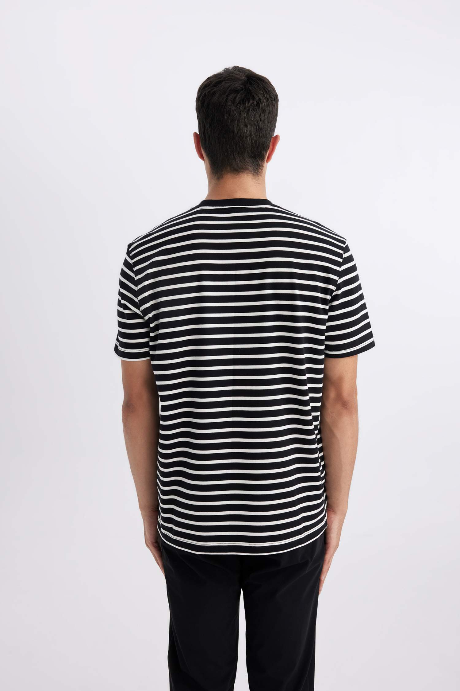 Regular Fit Crew Neck Striped T-Shirt