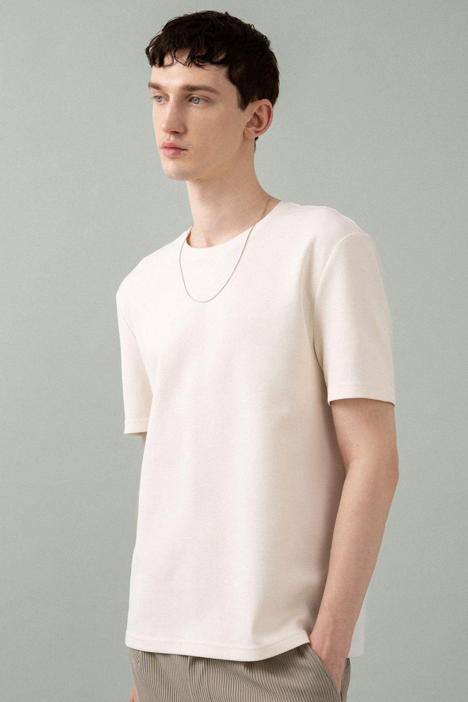 Regular Fit Crew Neck Short Sleeve T-Shirt