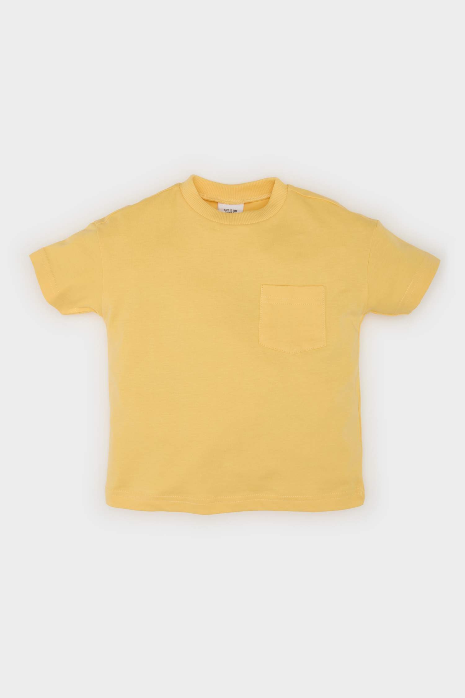 Baby Boy Regular Fit Crew Neck T-shirt