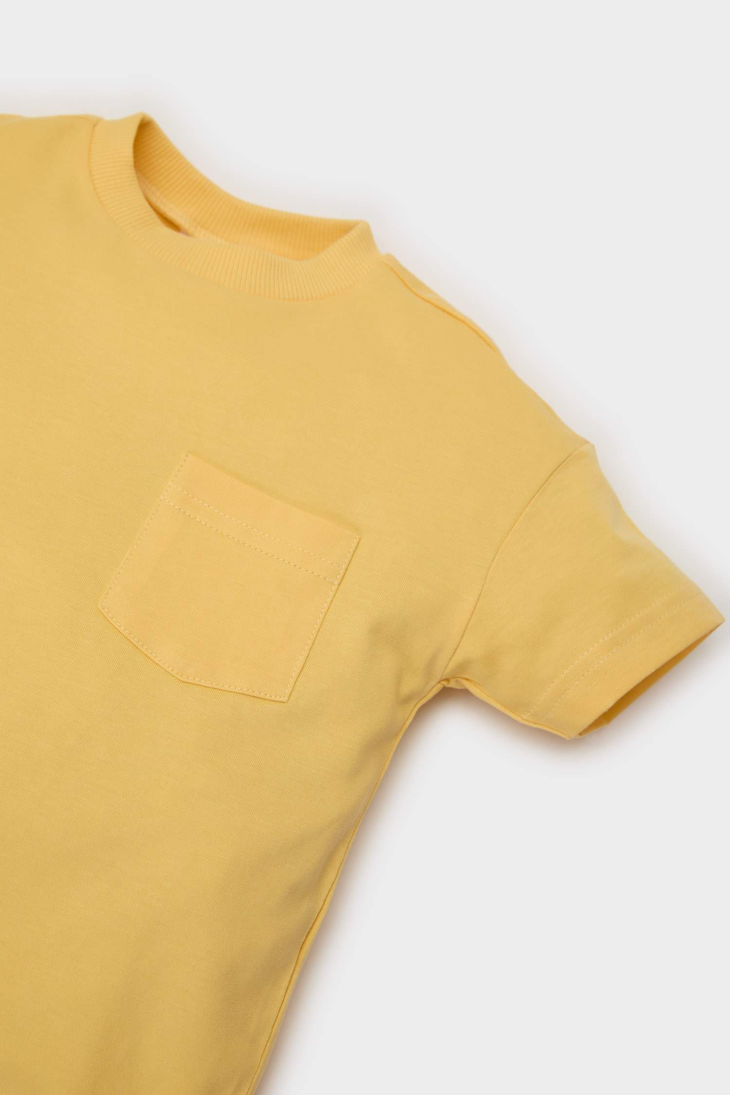 Baby Boy Regular Fit Crew Neck T-shirt