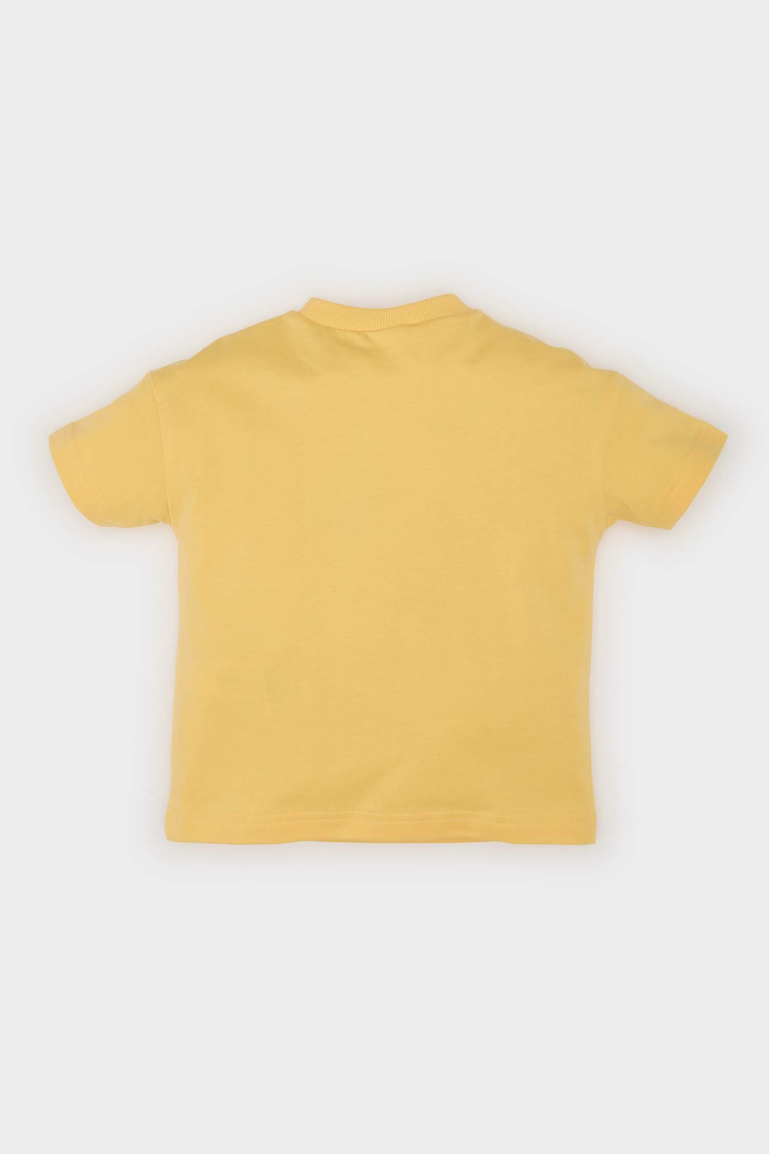 Baby Boy Regular Fit Crew Neck T-shirt