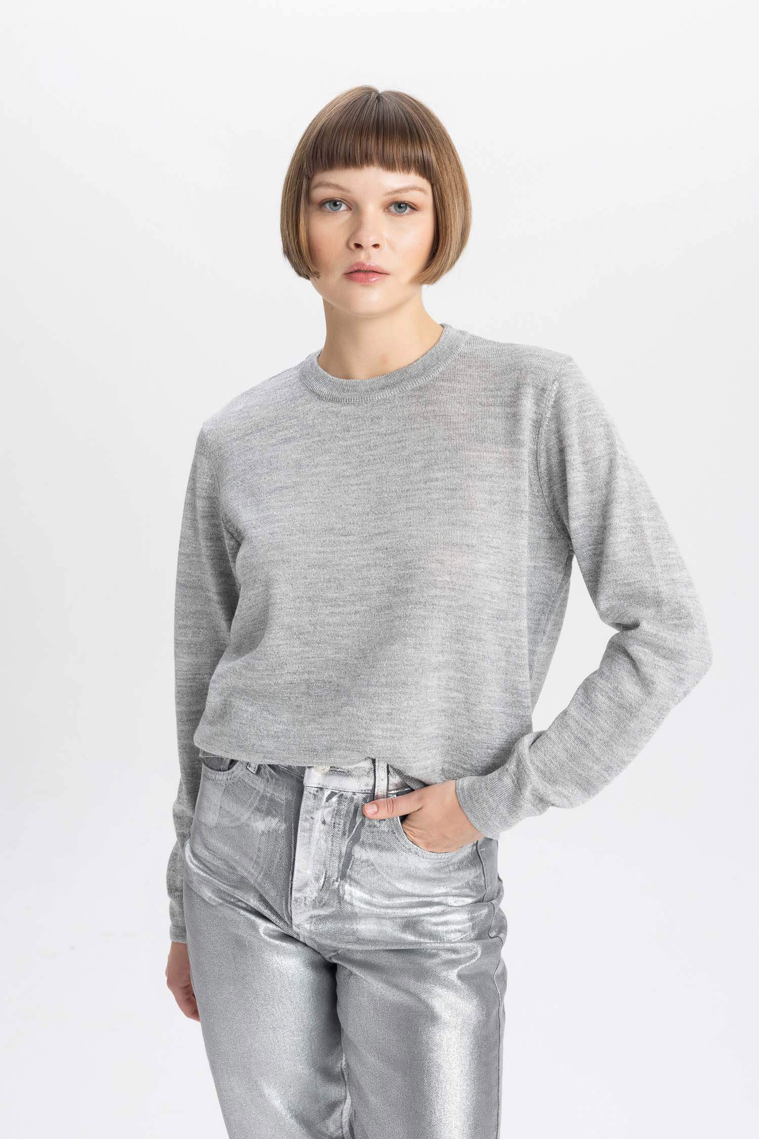 Crew Neck Shiny Fabric Basic Knitted Pullover