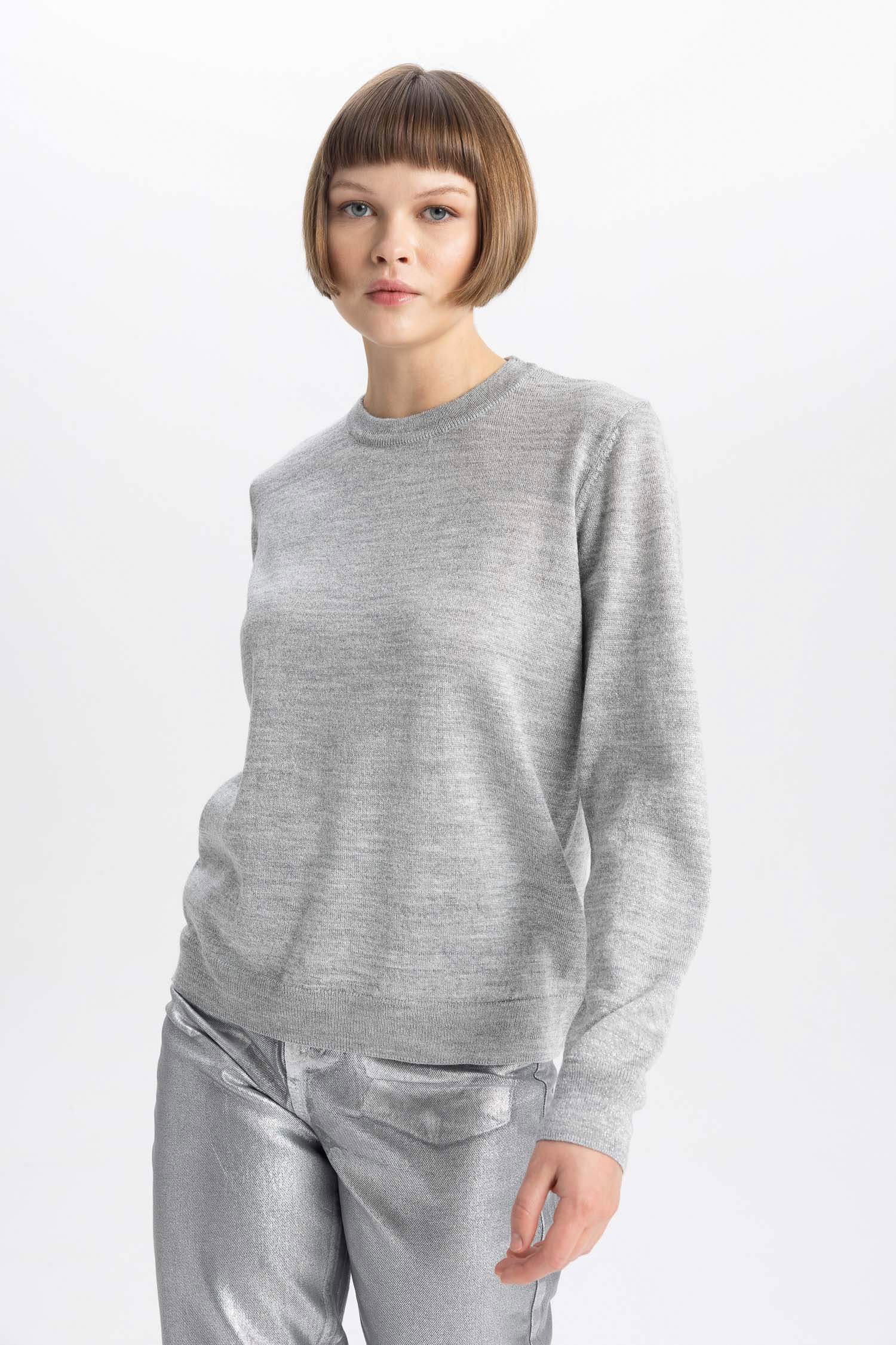 Crew Neck Shiny Fabric Basic Knitted Pullover