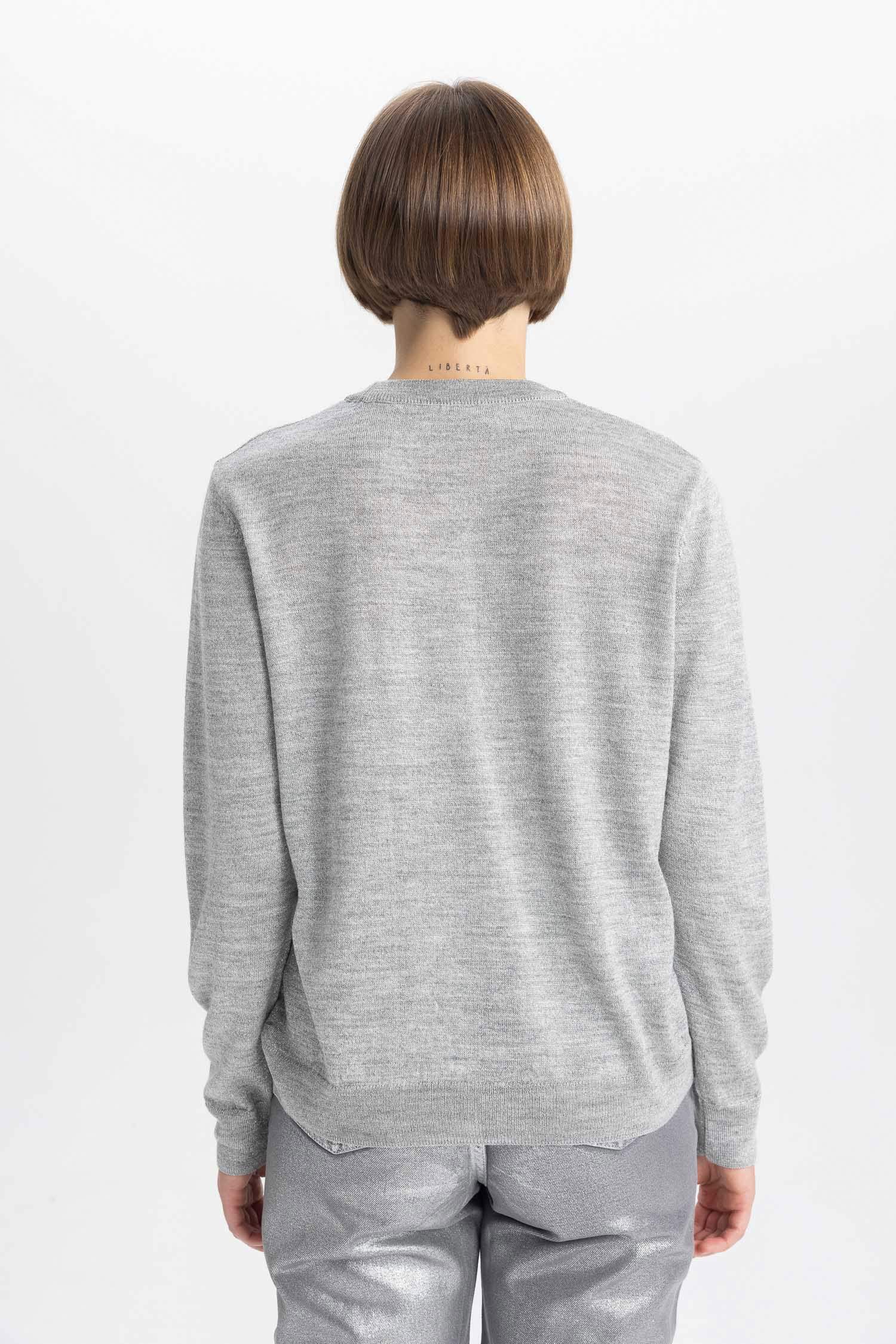 Crew Neck Shiny Fabric Basic Knitted Pullover