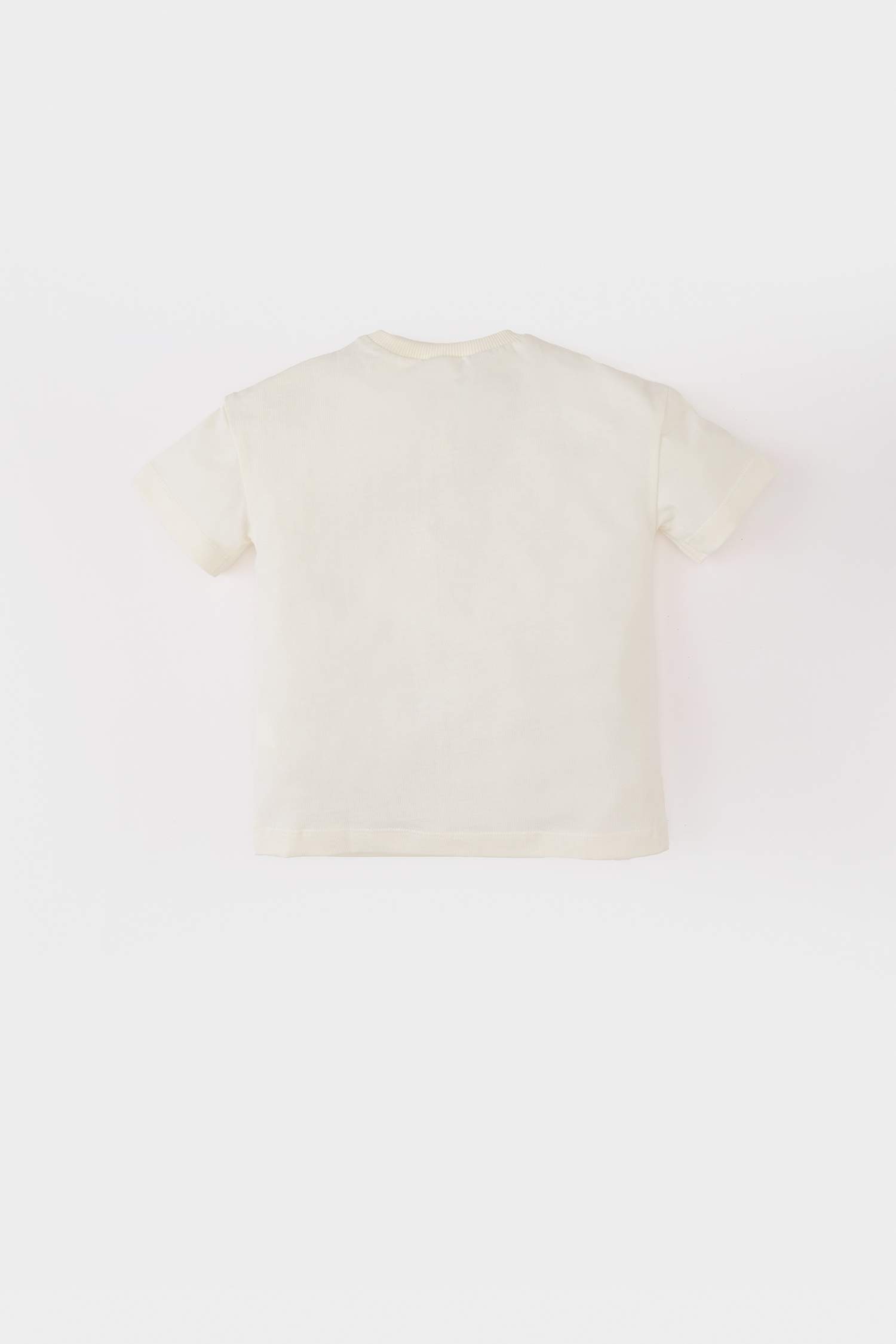 تيشيرت نص ردن قصة عادية بياقة مستديرة