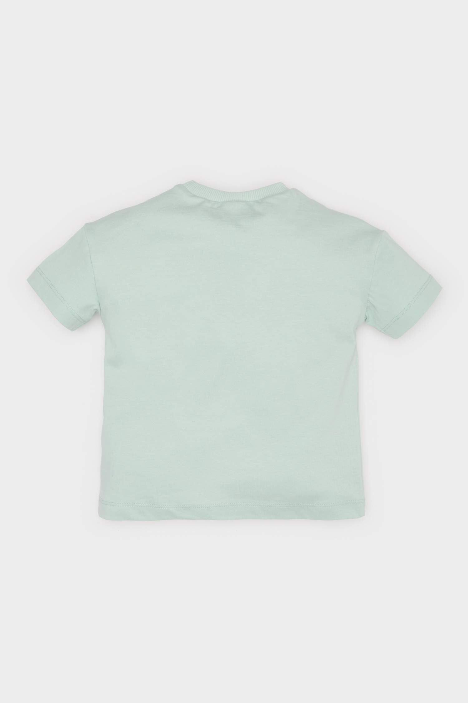 Baby Girl Regular Fit Crew Neck Short Sleeve T-Shirt