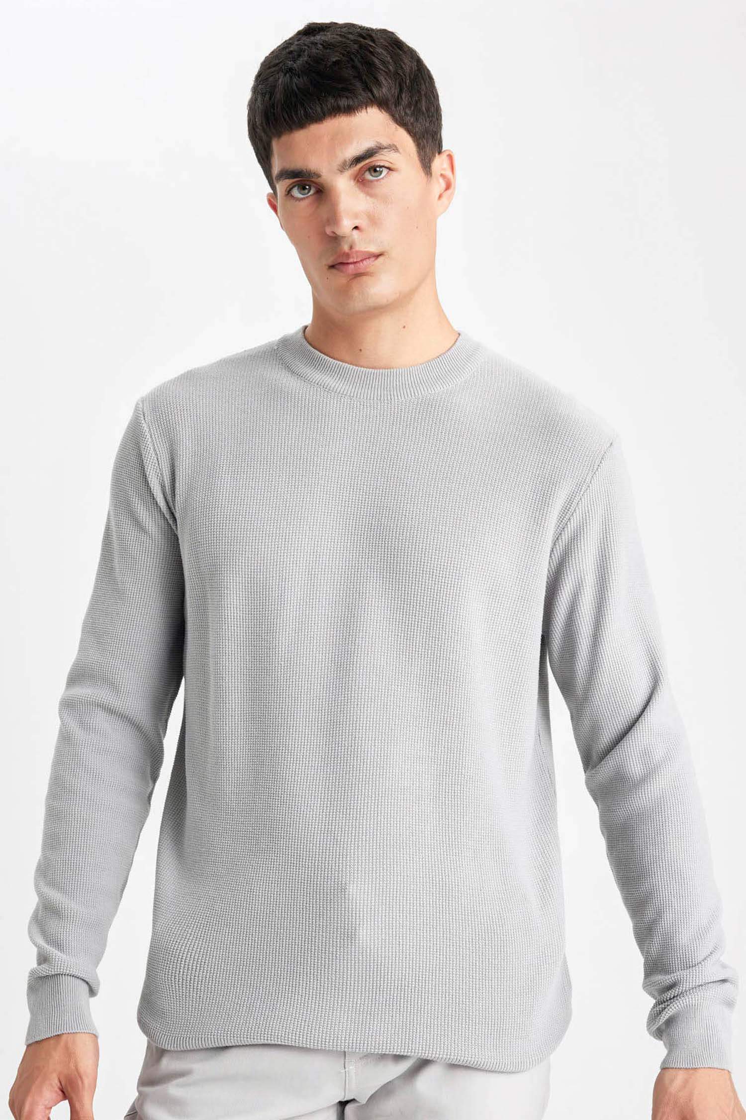Standard Fit Crew Neck Basic Knitted Pullover
