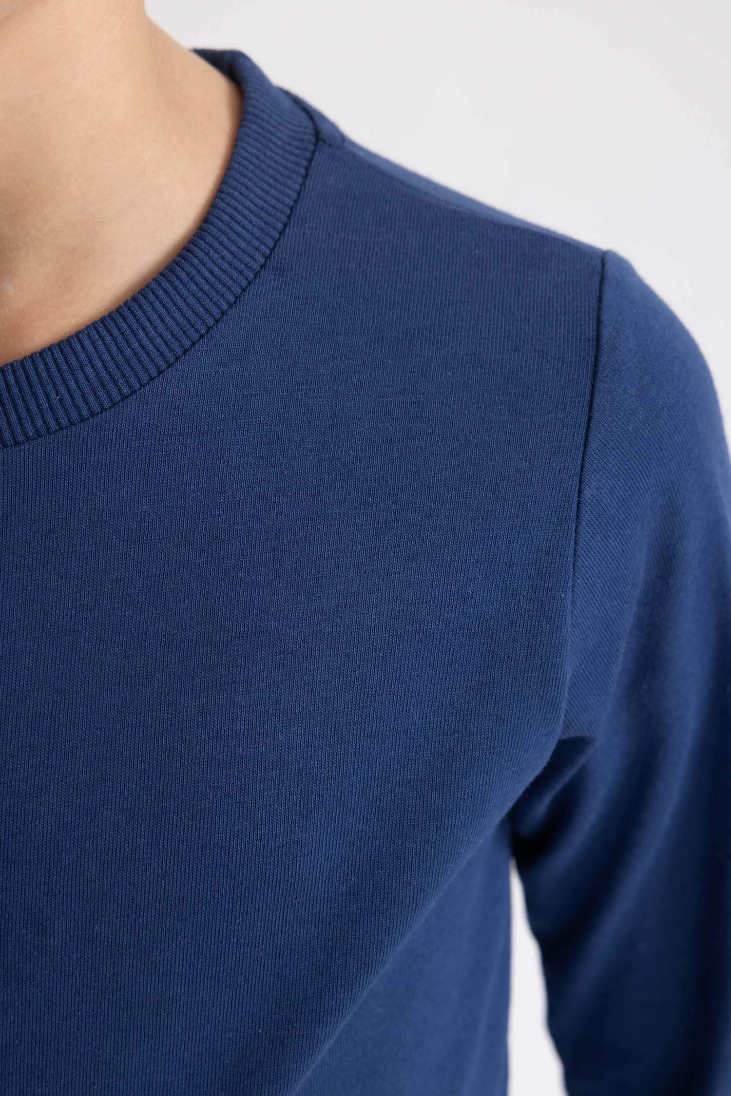 Boy Regular Fit Crew Neck Long Sleeve T-Shirt