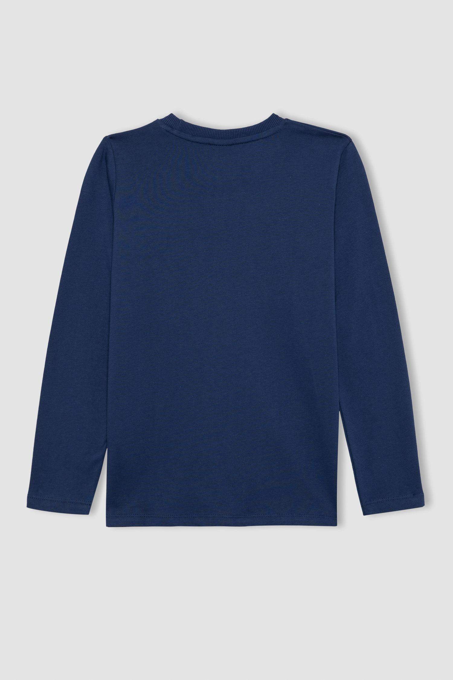 Boy Regular Fit Crew Neck Long Sleeve T-Shirt