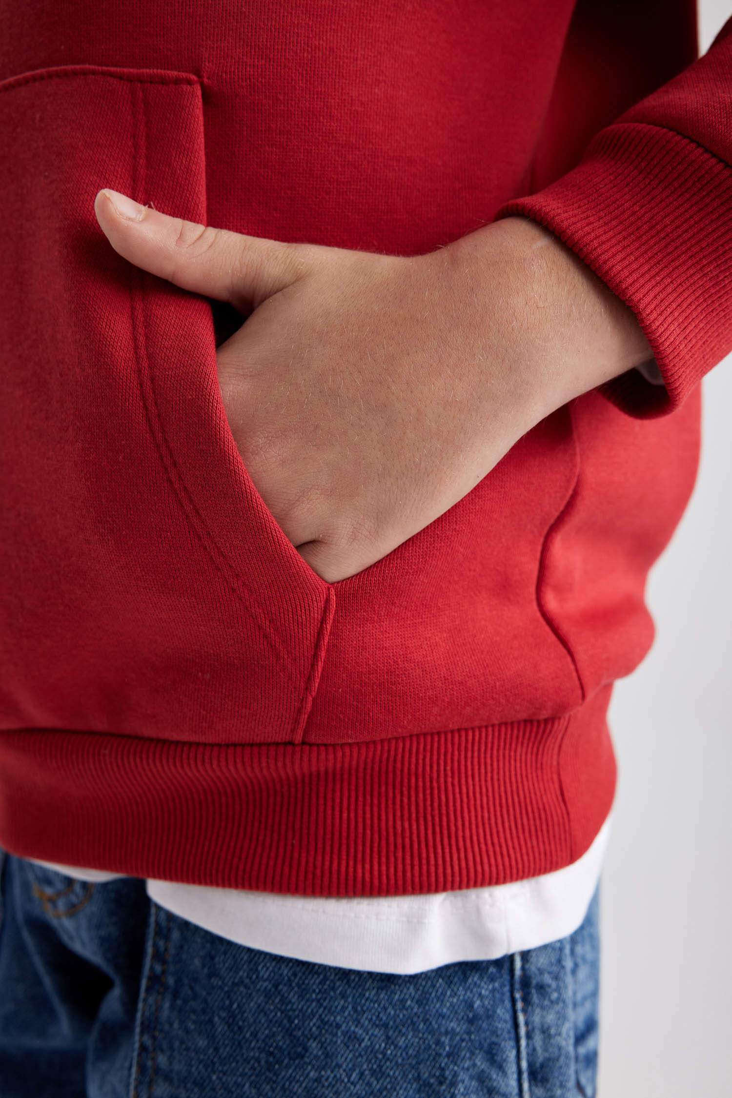 Boy Regular Fit Hooded Sweatshirt