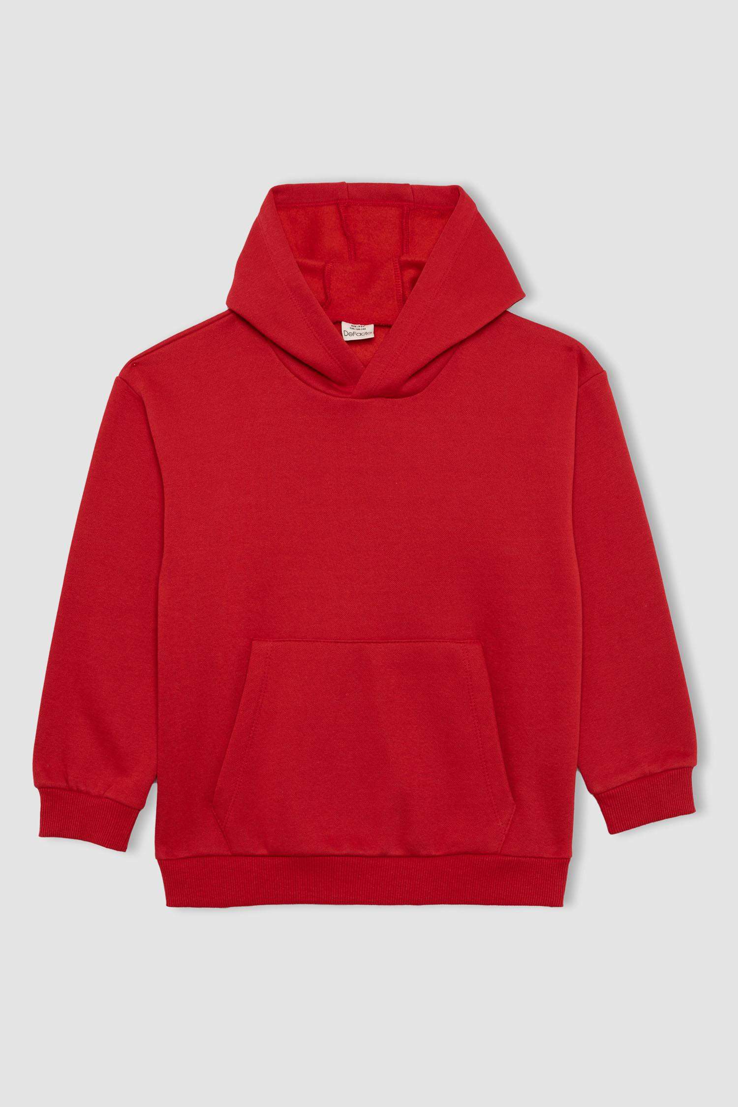 Boy Regular Fit Hooded Sweatshirt