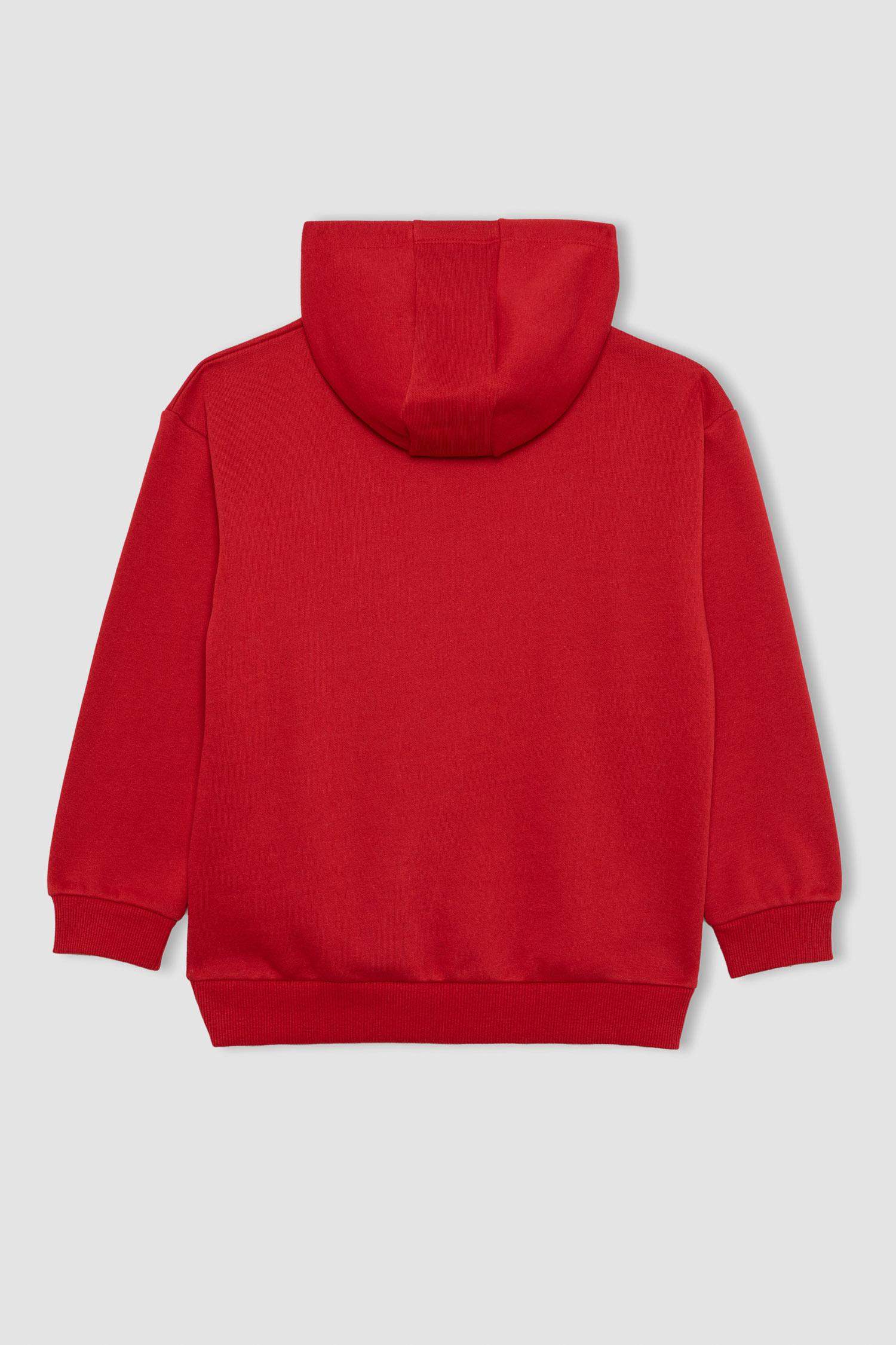 Boy Regular Fit Hooded Sweatshirt