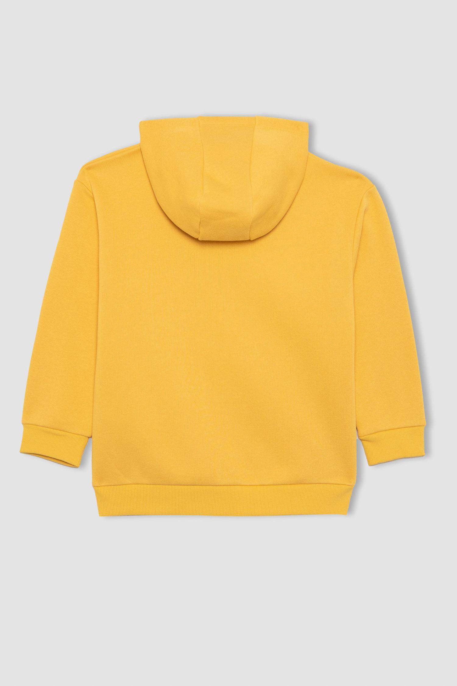 Erkek Çocuk Basic Düz Kapüşonlu Sweatshirt