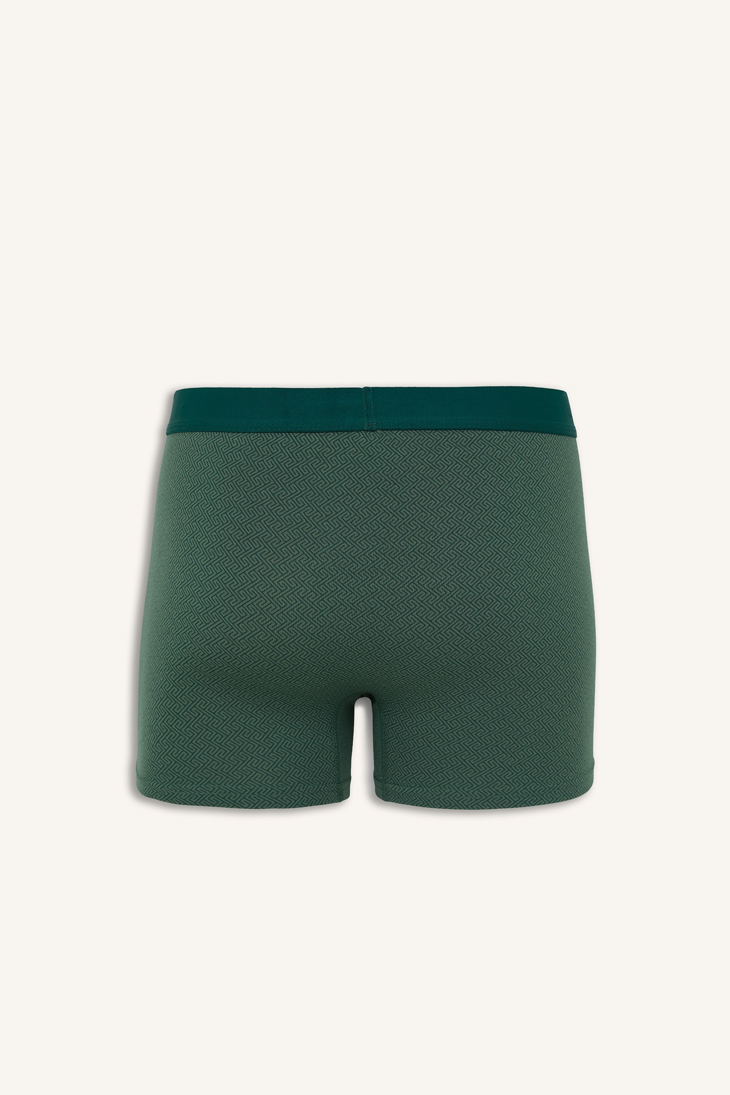 DeFacto Regular Fıt Etnik Desenli 3'lü Boxer görsel 3