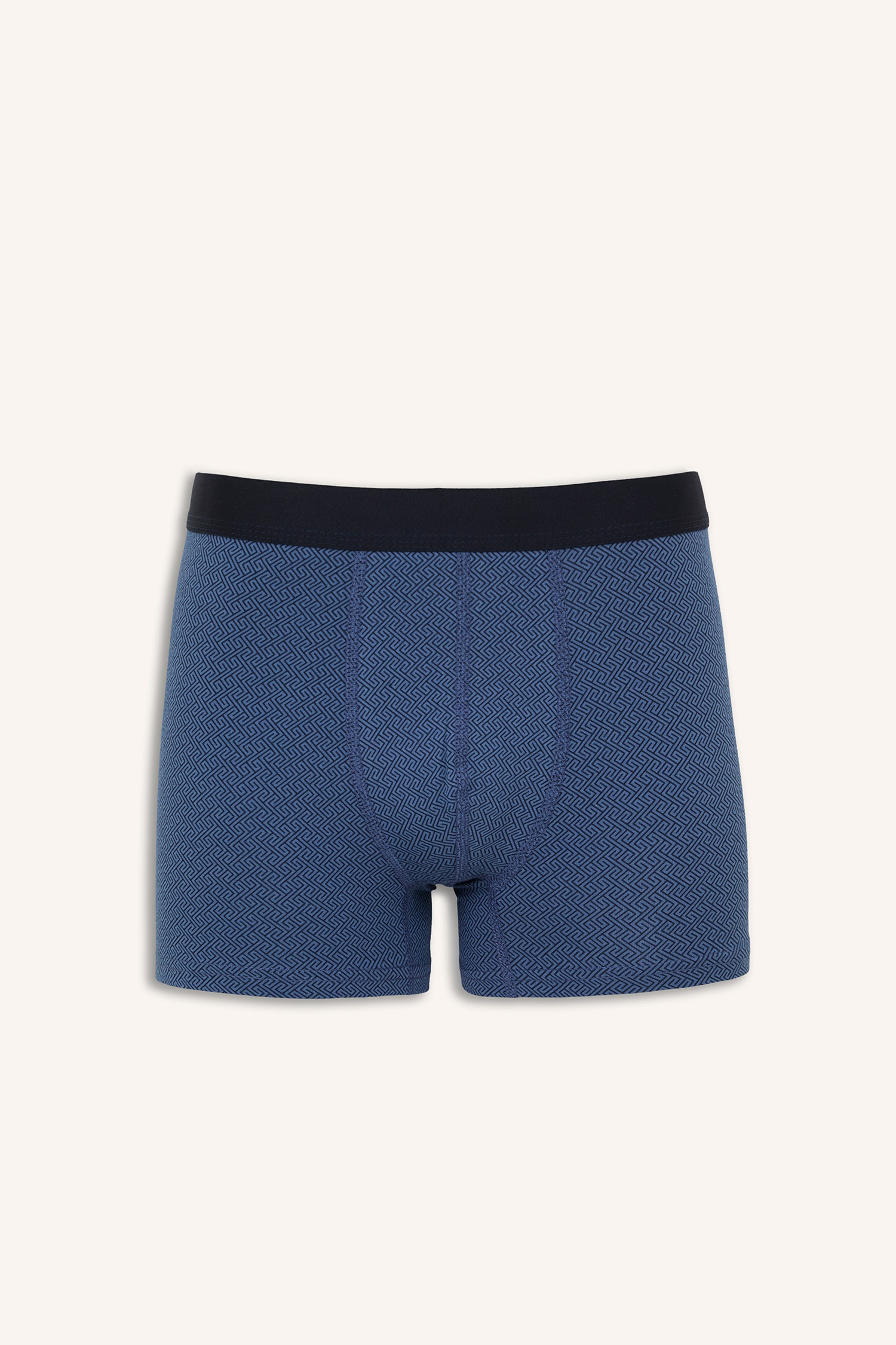 DeFacto Regular Fıt Etnik Desenli 3'lü Boxer görsel 6