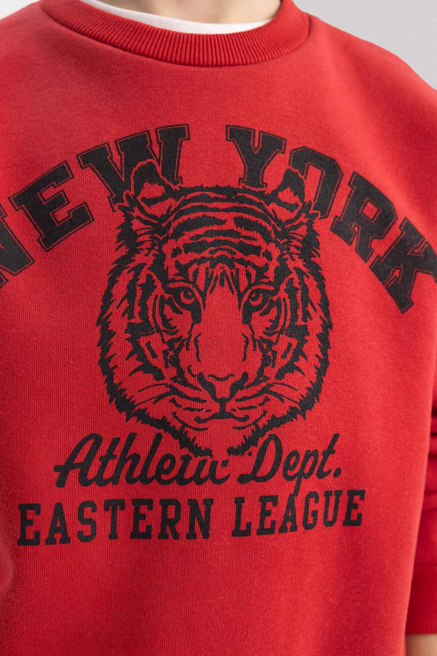 سويت شيرت ولادي قصة عادية بياخة مستديرة