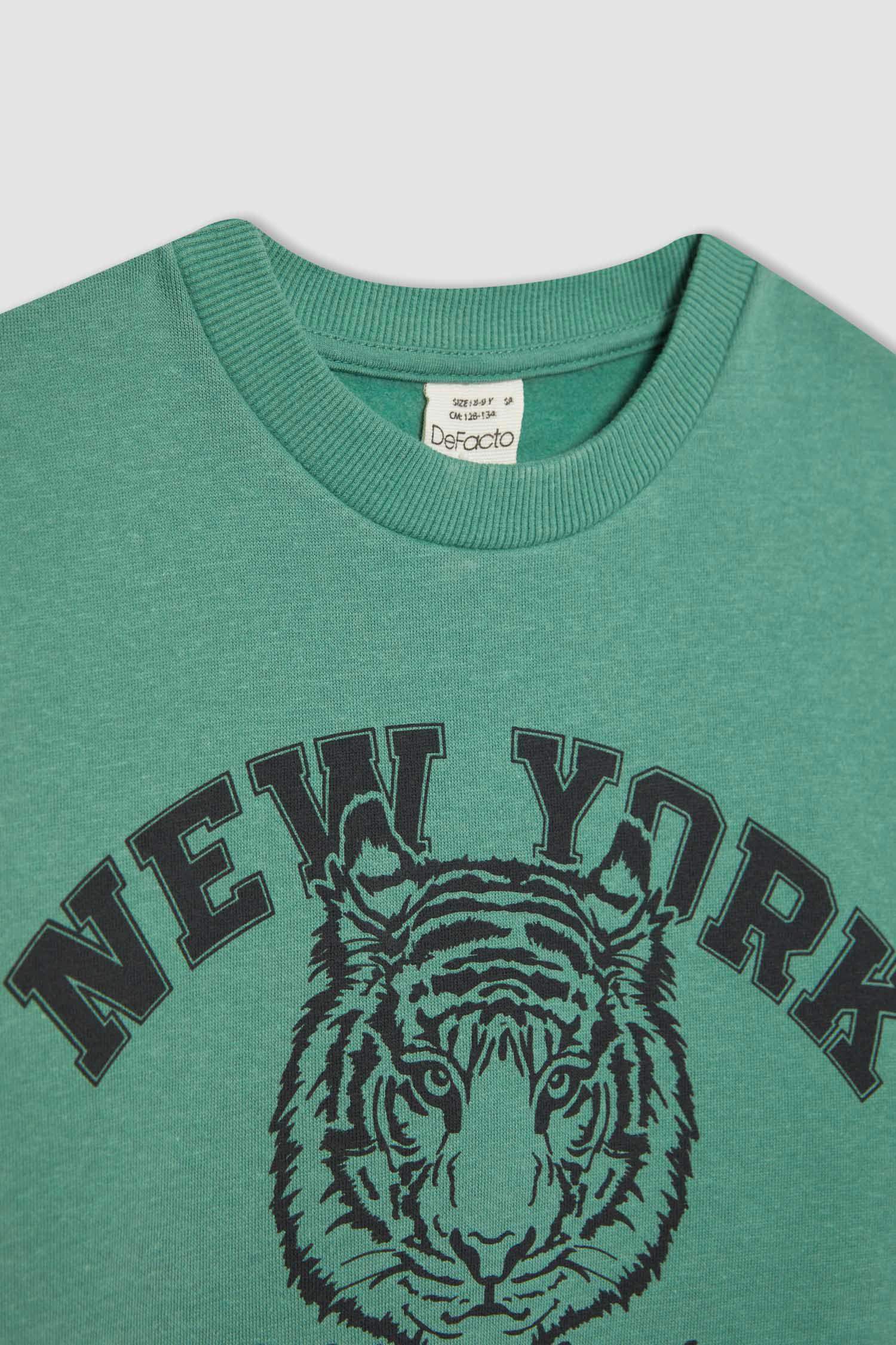 سويت شيرت ولادي قصة عادية بياخة مستديرة