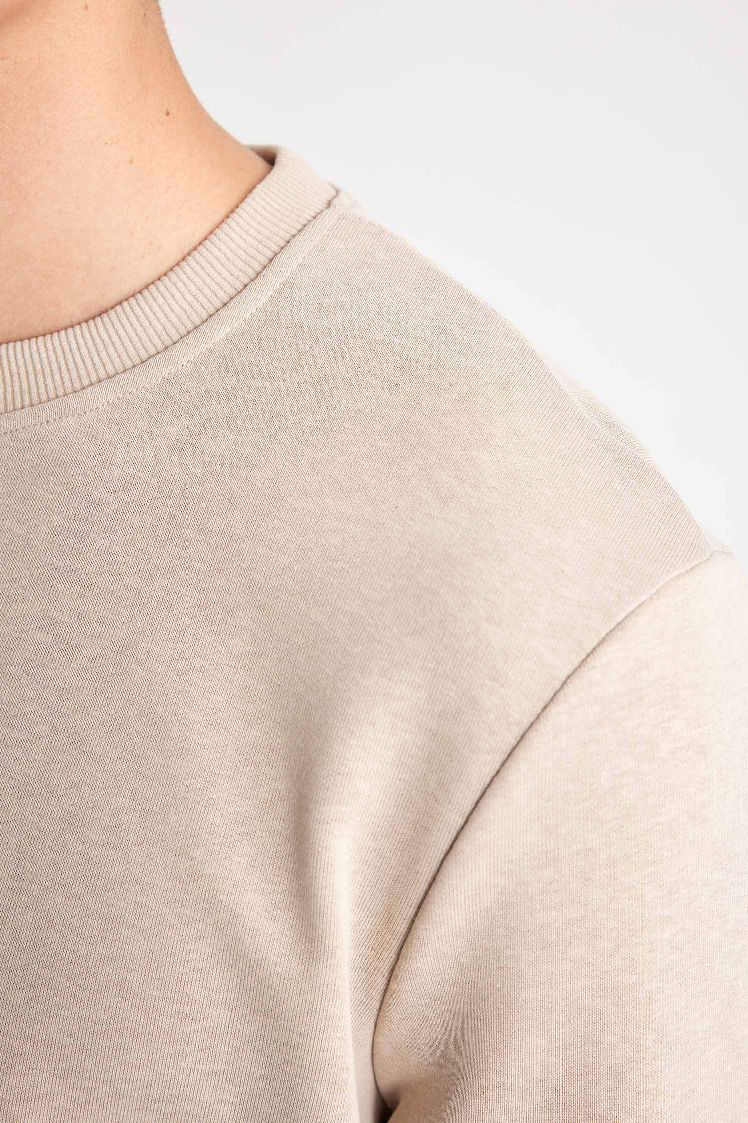 Regular Fit Sweatshirt