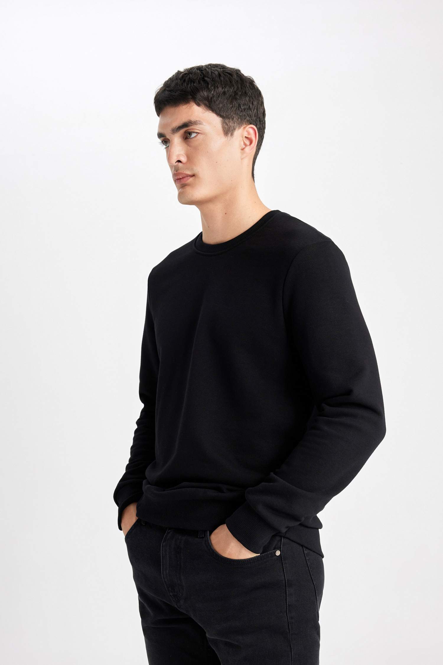 Regular Fit Bisiklet Yaka Sweatshirt