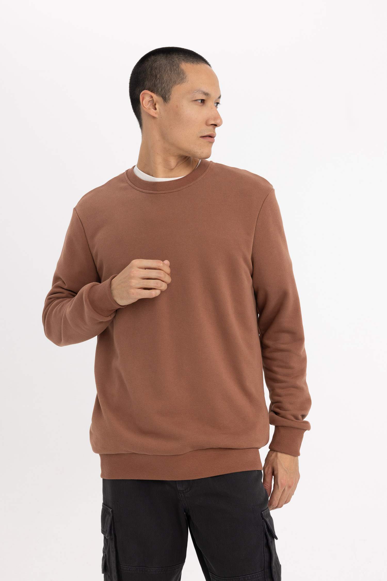 Regular Fit Bisiklet Yaka Sweatshirt