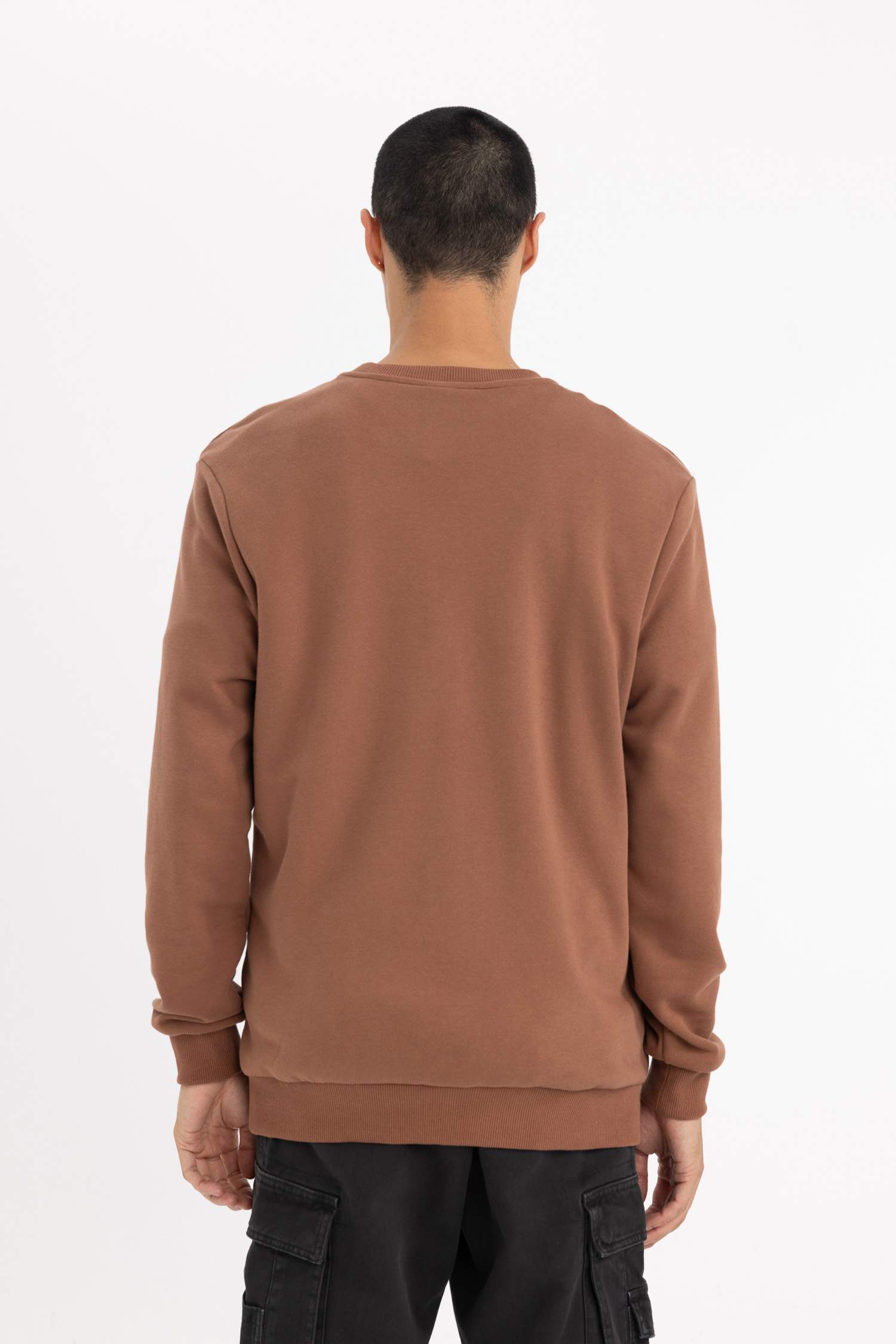 Regular Fit Bisiklet Yaka Sweatshirt