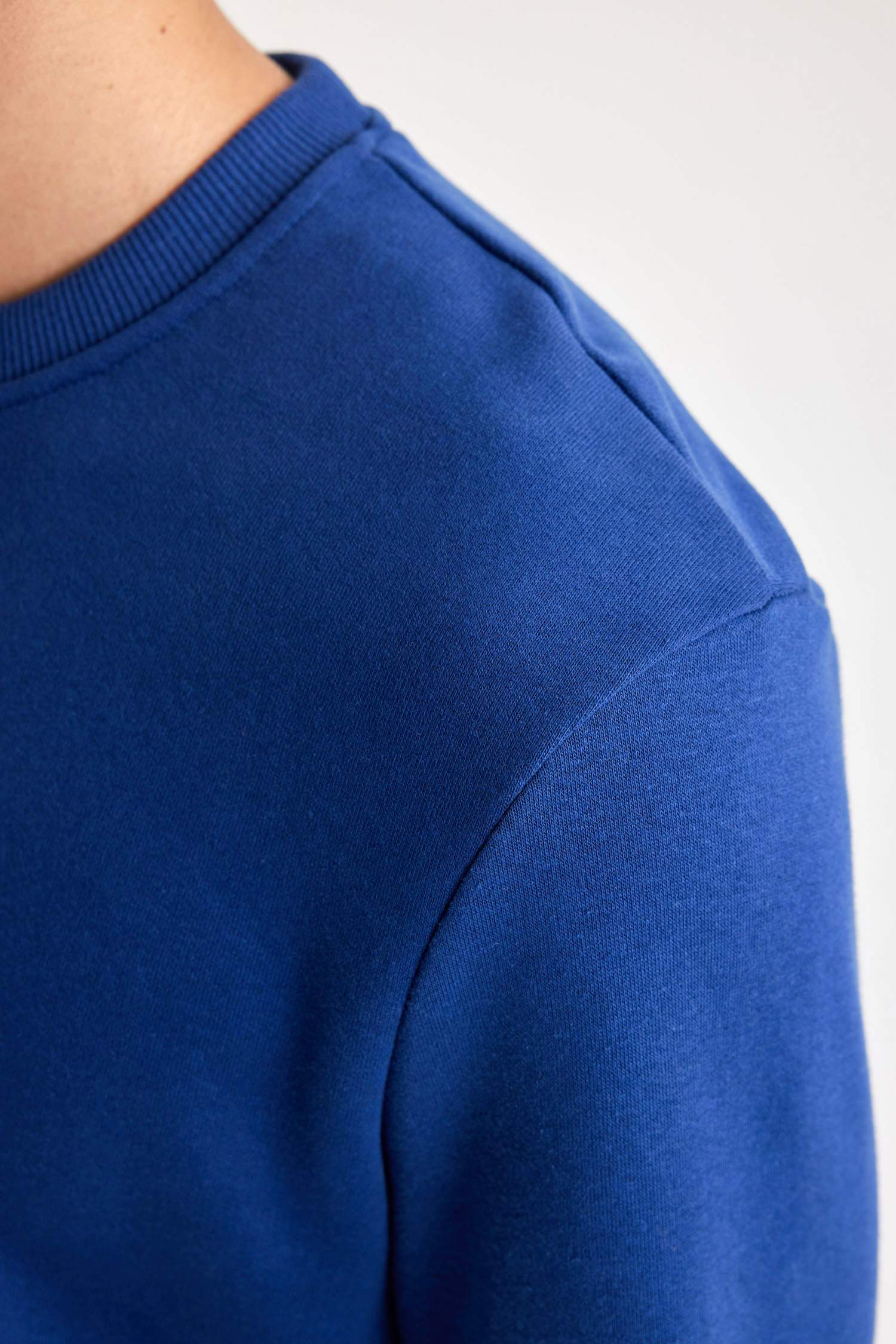 Regular Fit Bisiklet Yaka Sweatshirt