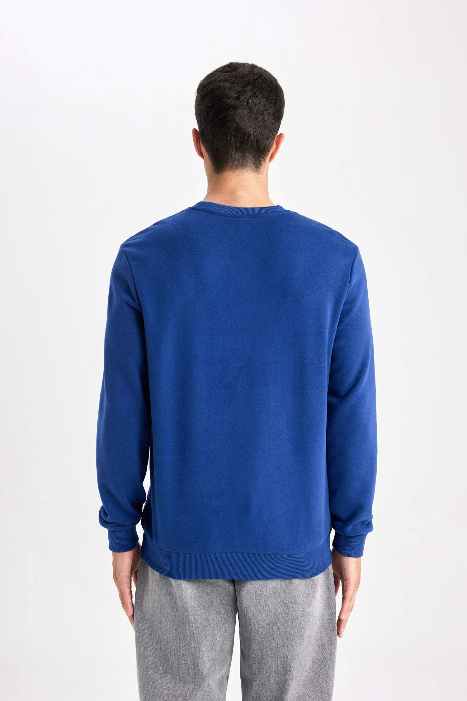 Regular Fit Bisiklet Yaka Sweatshirt