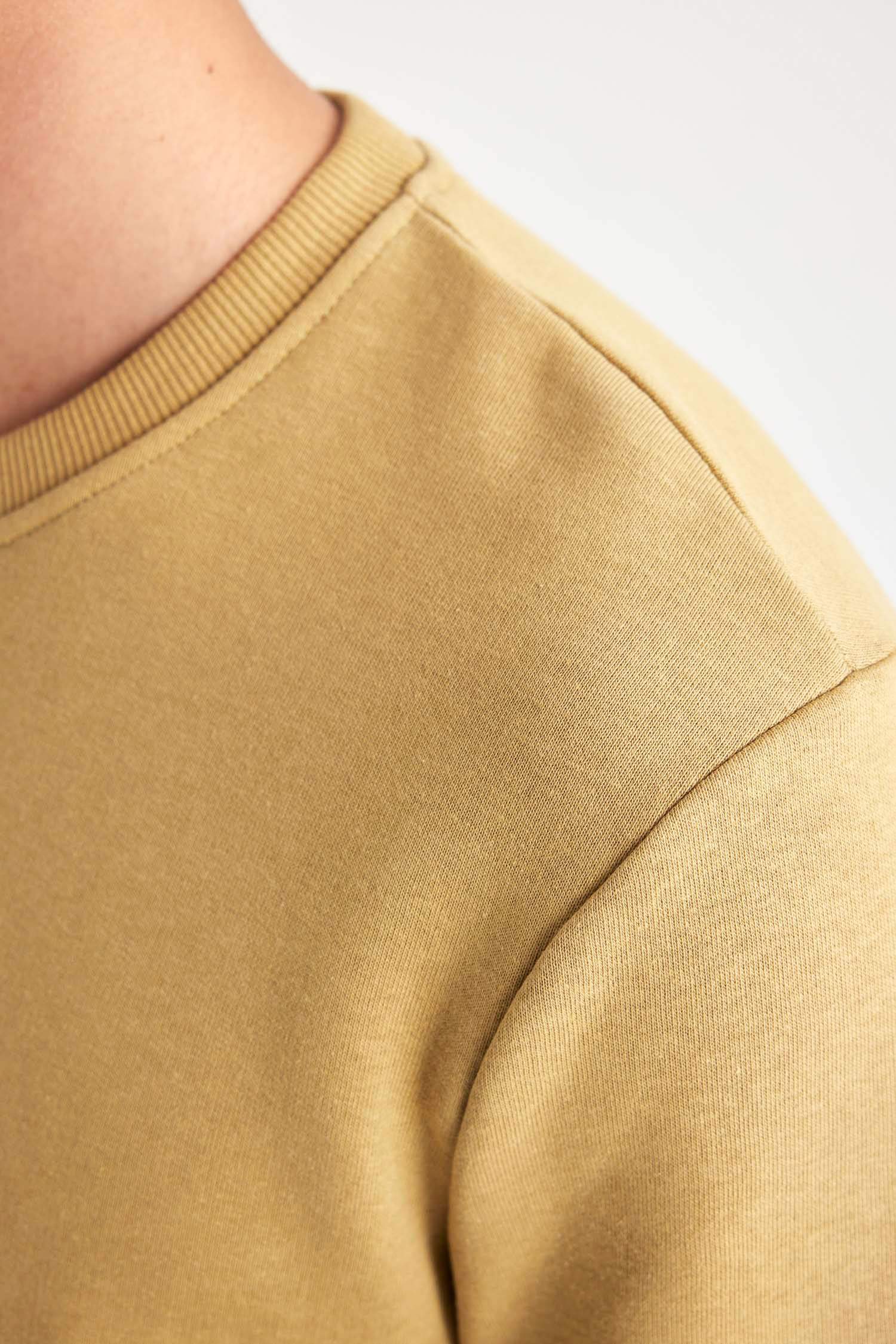 Regular Fit Bisiklet Yaka Sweatshirt