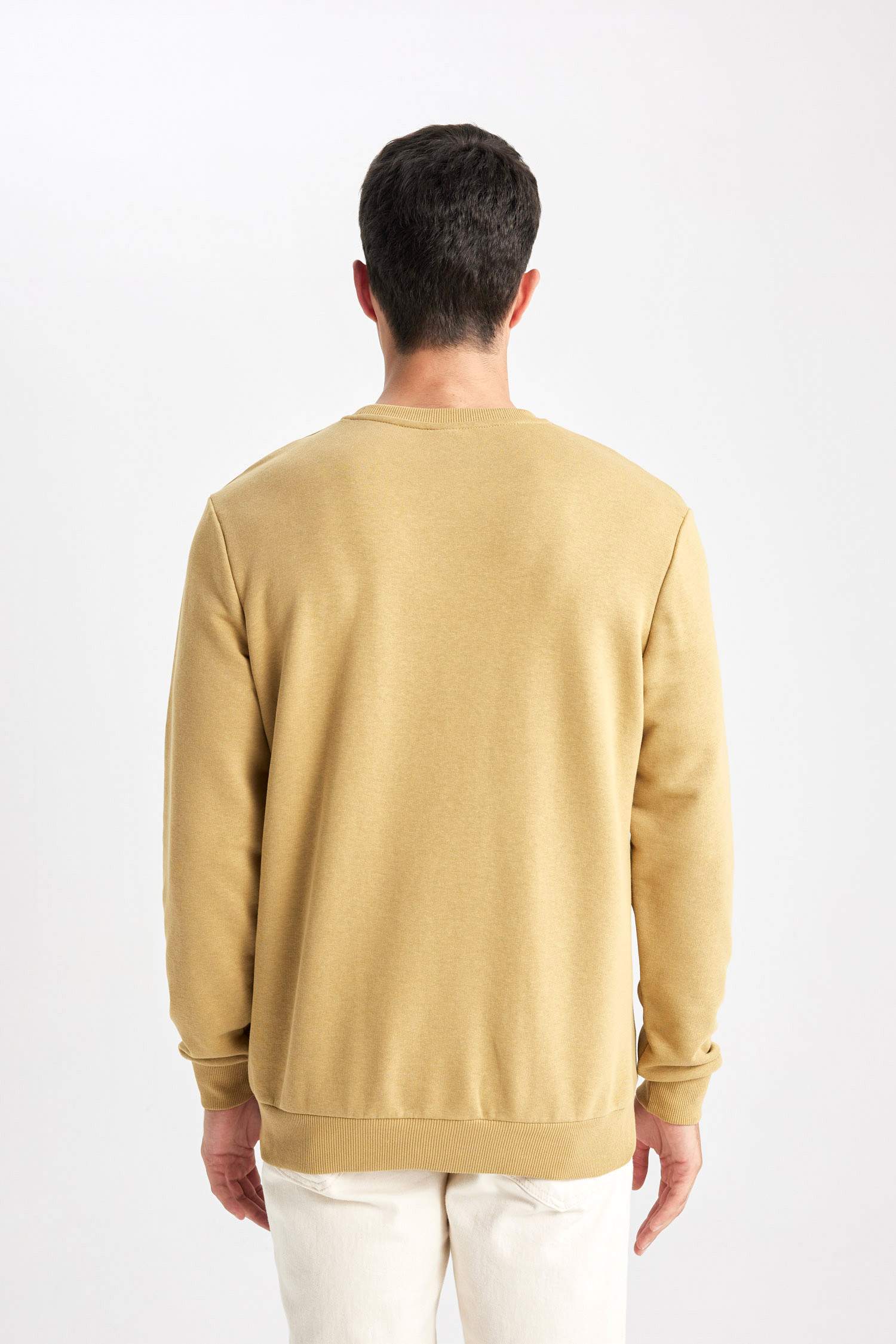 Regular Fit Bisiklet Yaka Sweatshirt
