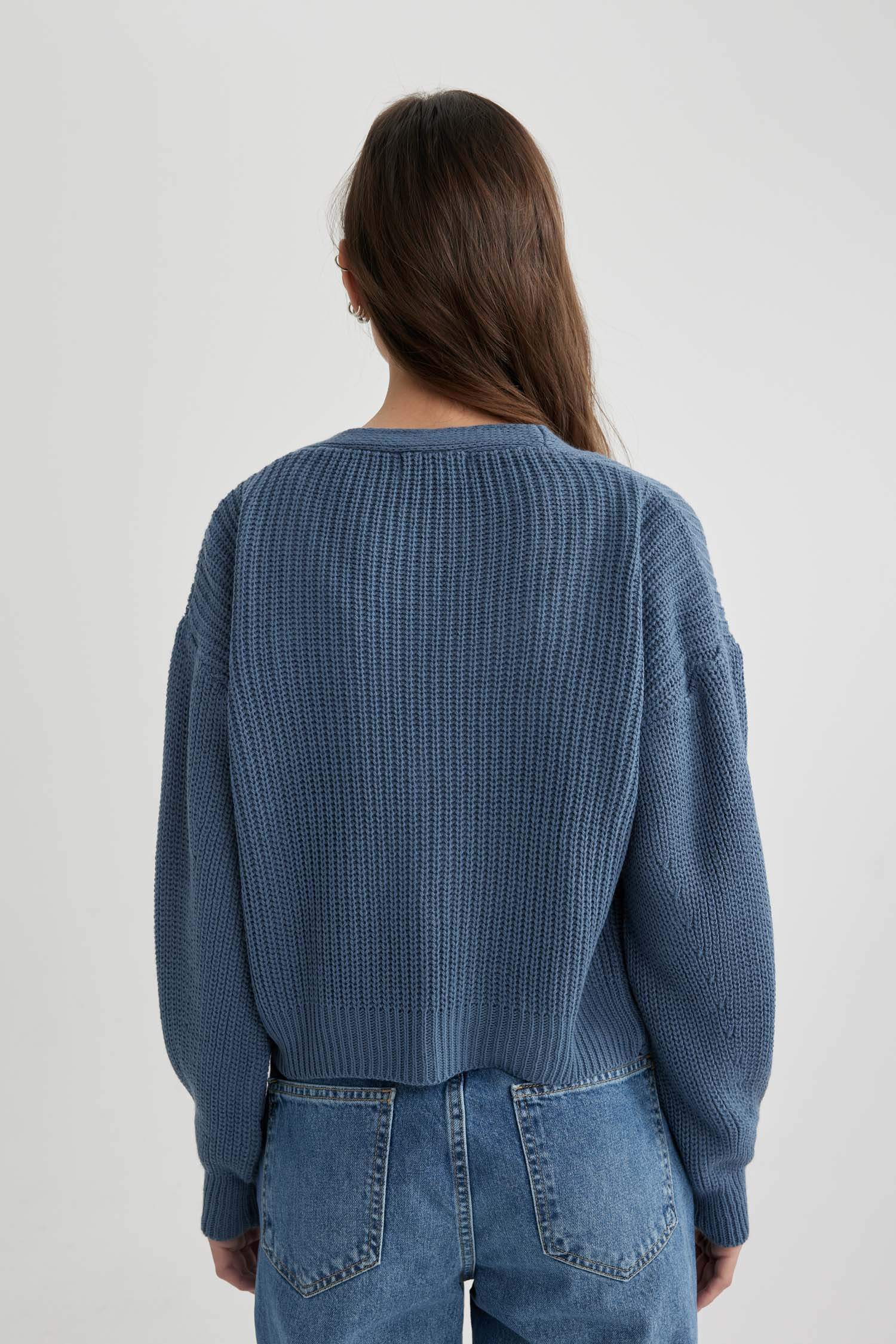 Regular Fit V-Neck Cardigan