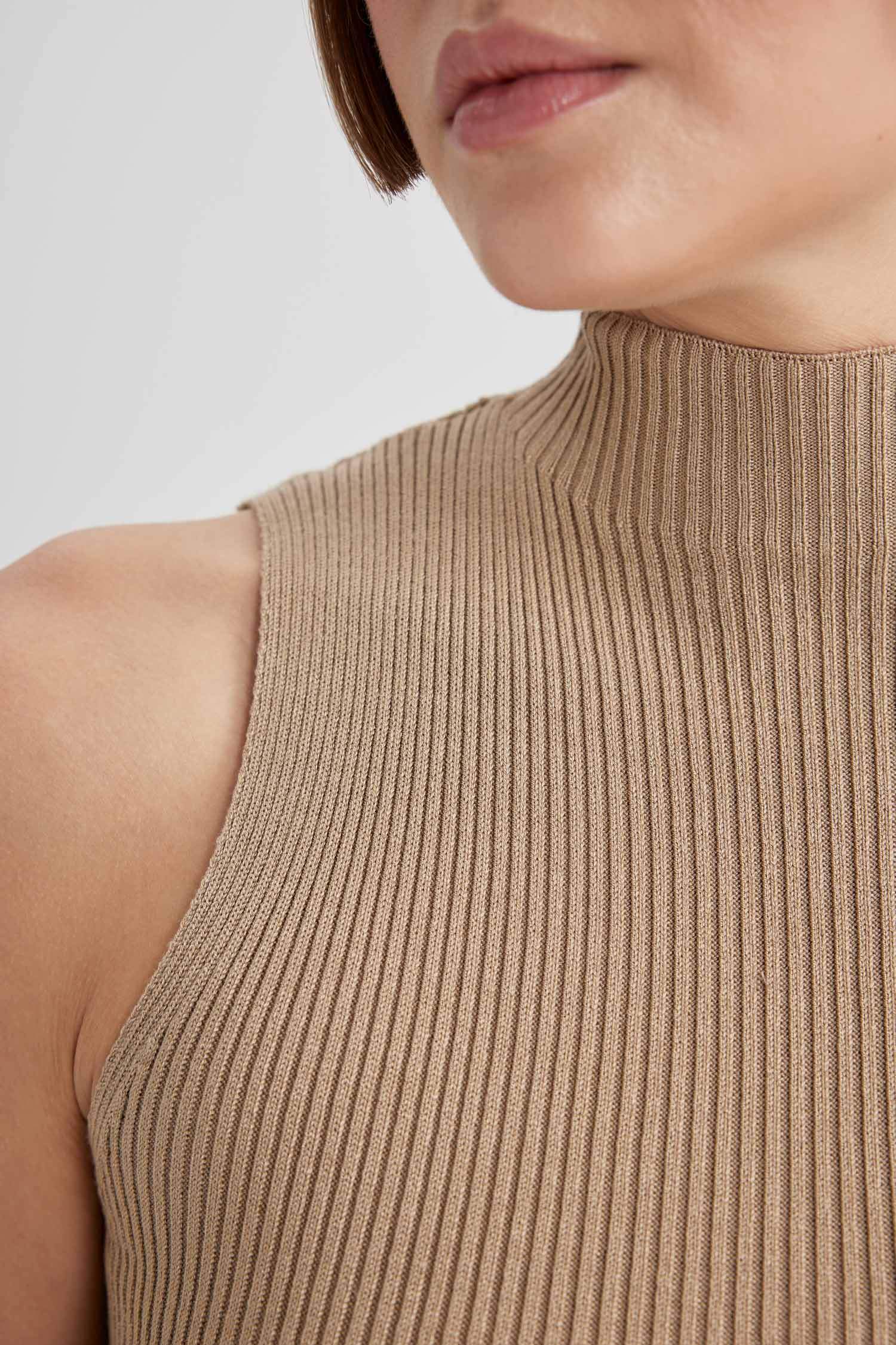Slim Fit Half Turtleneck Ribana Dress