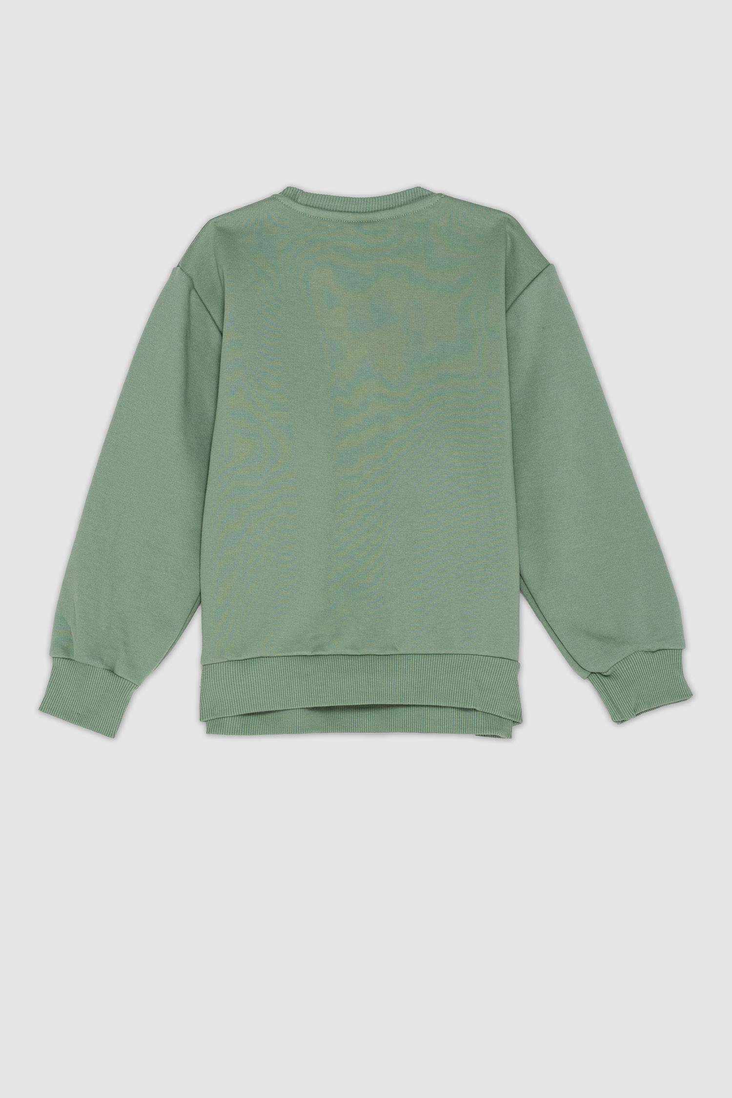 Boy Regular Fit Crew Neck Thick Sweatshirt